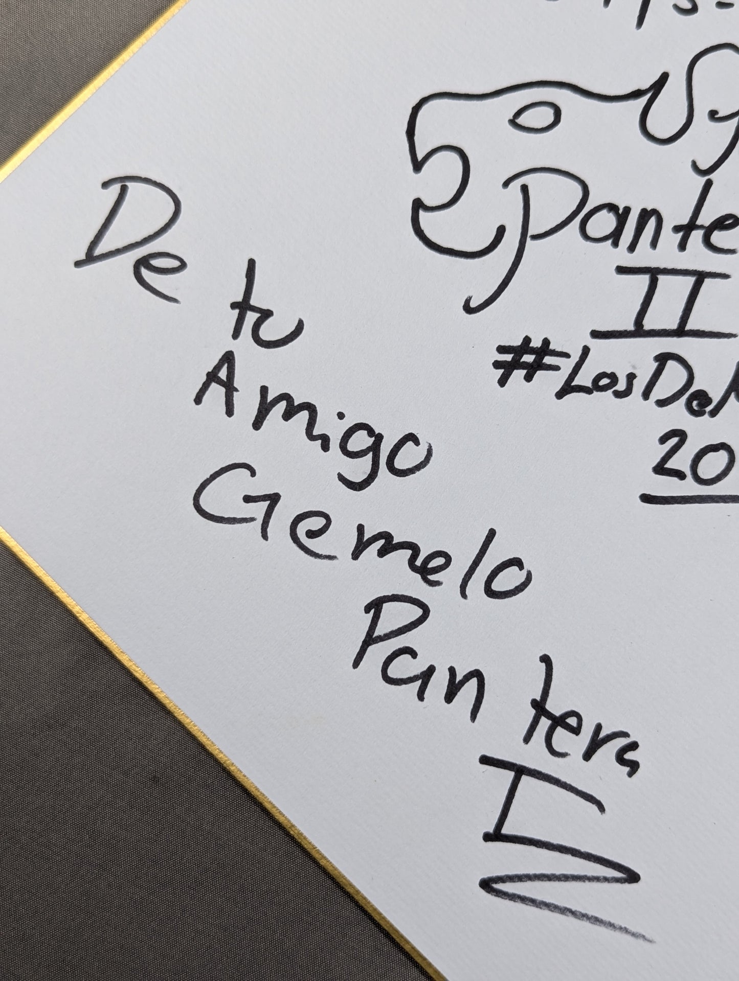 Pantera Blanca Junior & Hemelo Pantera I & Hemelo Pantera II