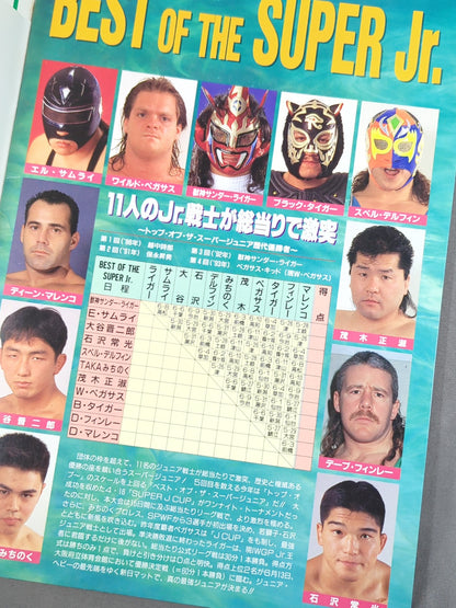 Fighting Spirit Special 95