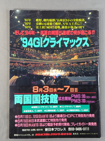Fighting Spirit Special 95