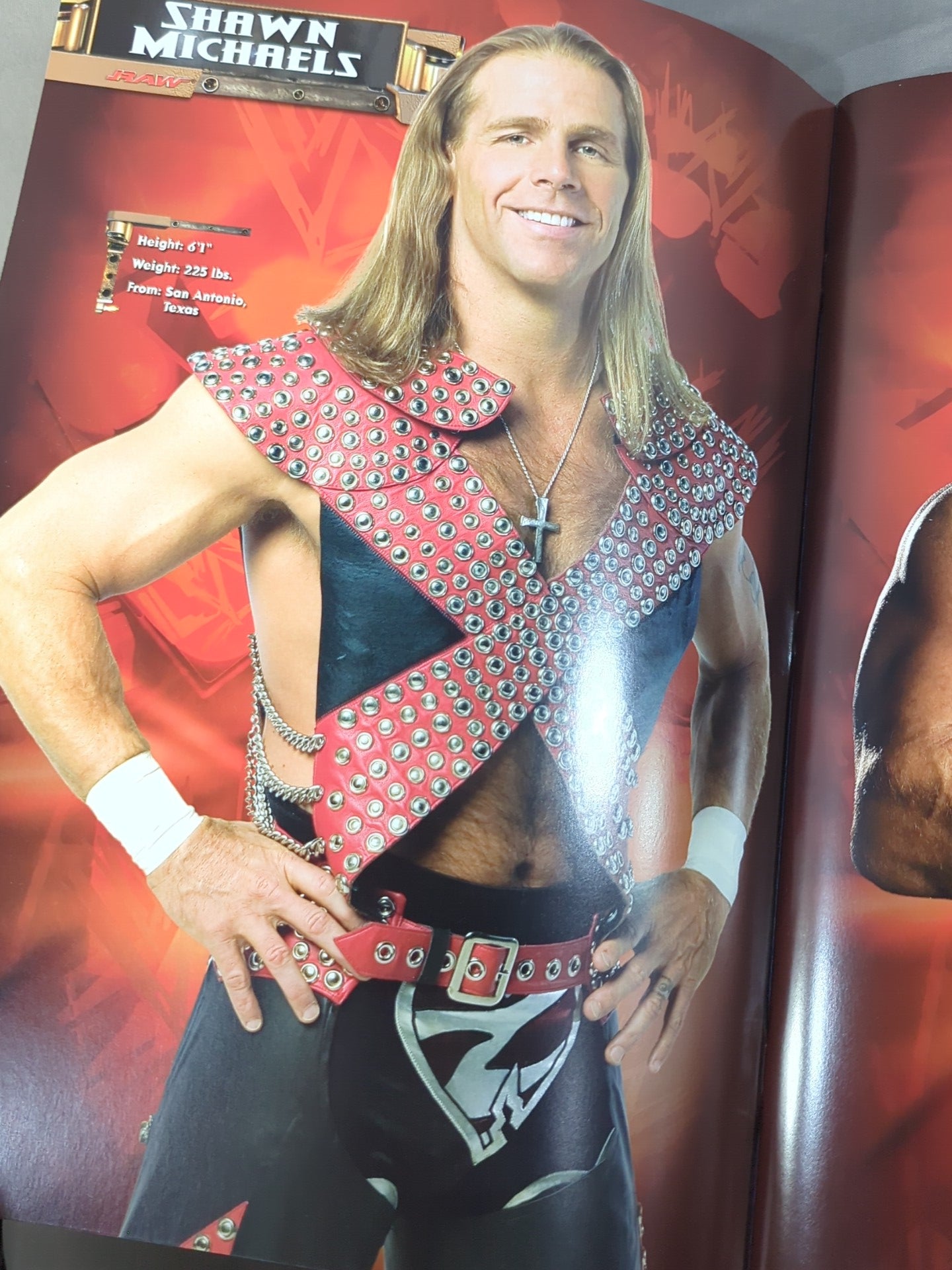 WWE OFFICIAL SOUVENIR PROGRAM 2004 – 闘道館