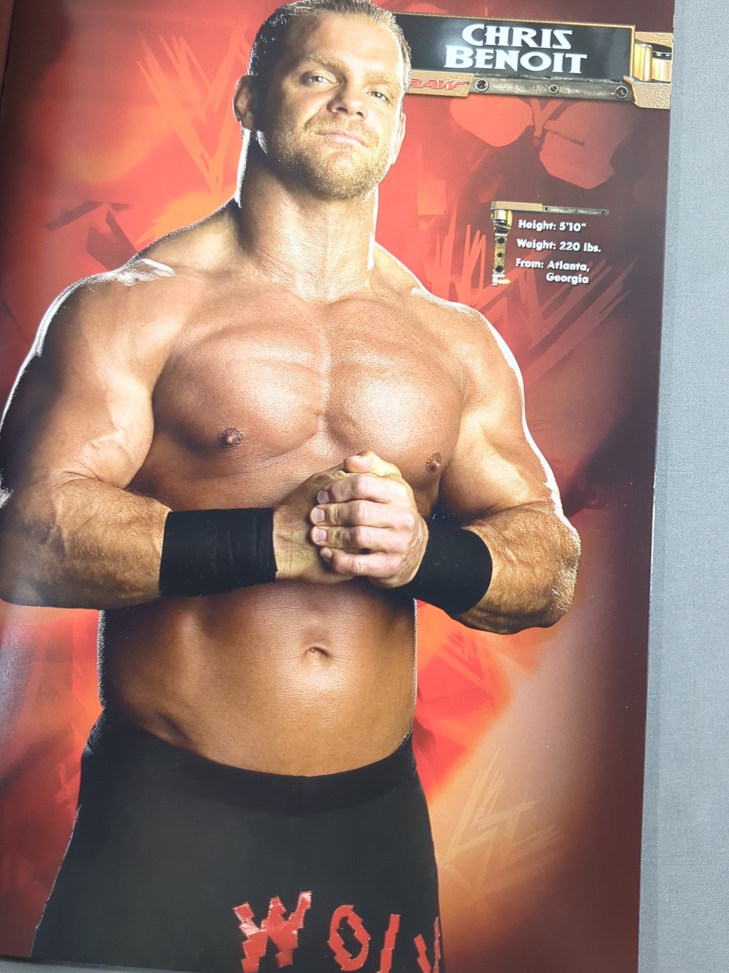 WWE OFFICIAL SOUVENIR PROGRAM 2004 – 闘道館