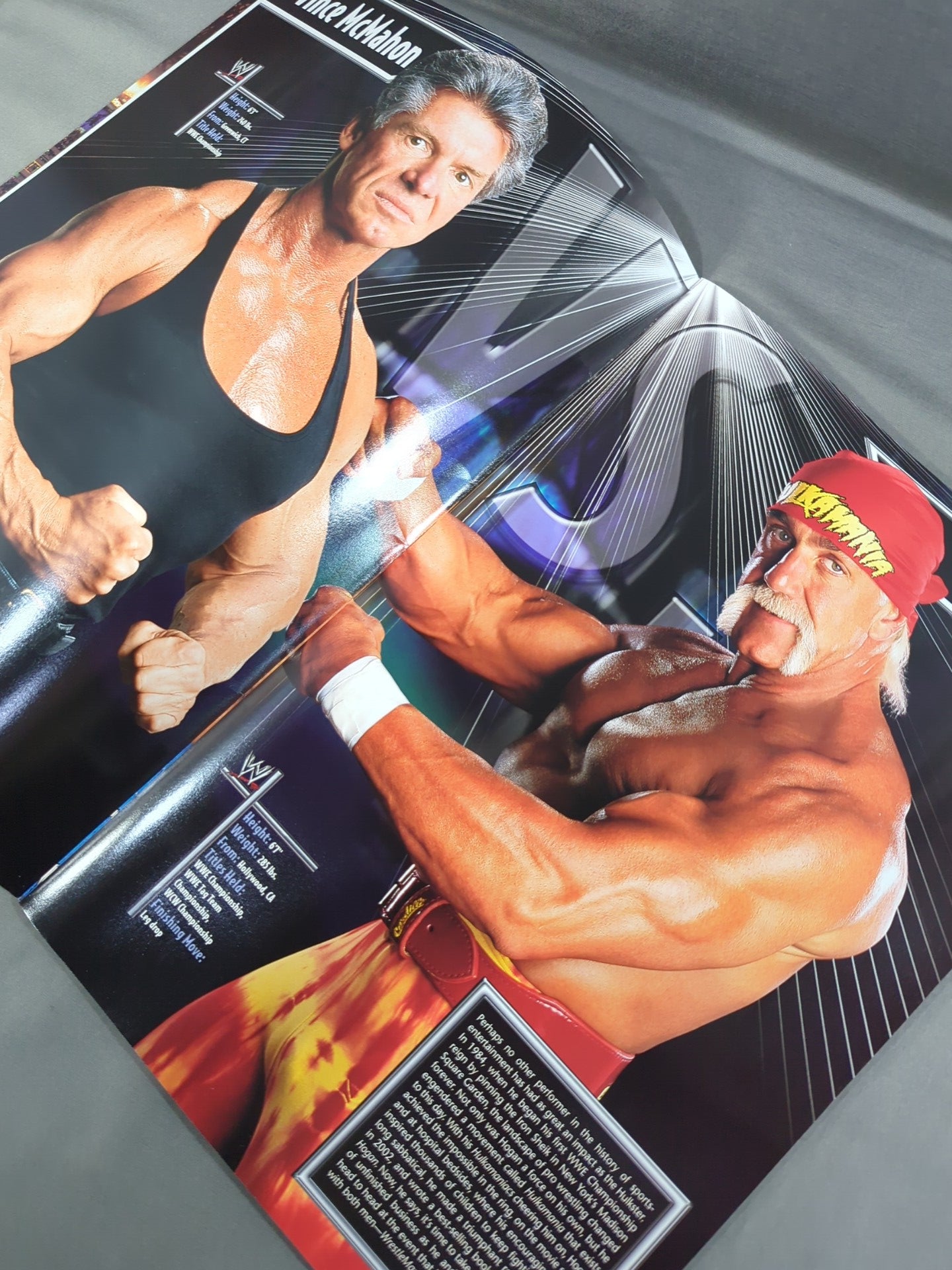 WRESTLEMANIA XIX