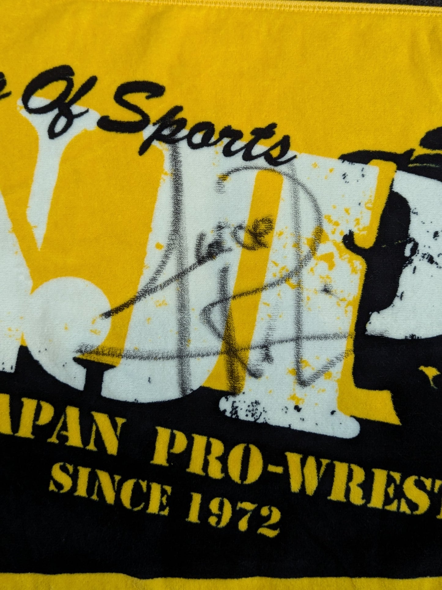 【ジュース・ロビンソン 直筆サイン入り】ライオンマーク「2016」スポーツタオル