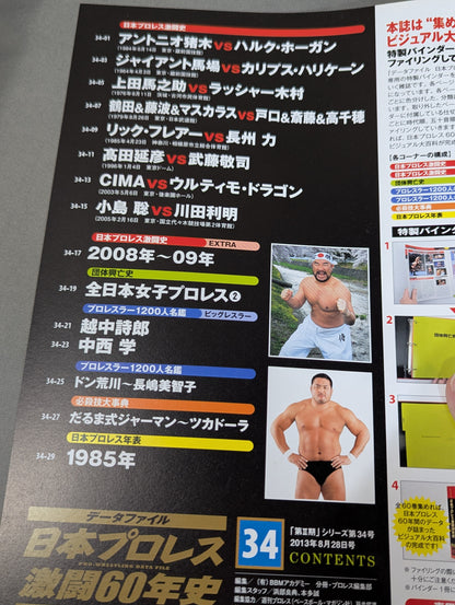 Japan Pro Wrestling 60 Years of Fierce Battle (34)