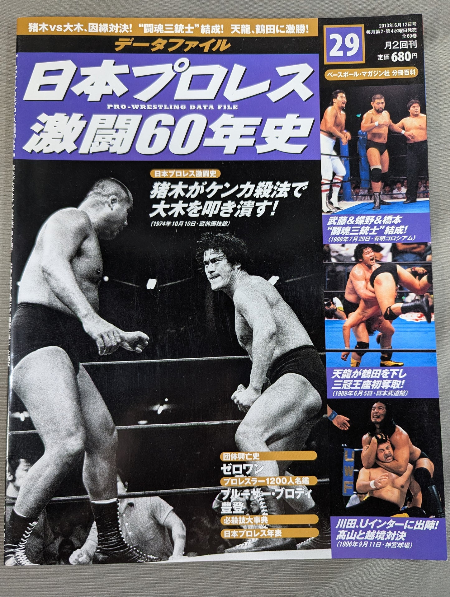 Japan Pro Wrestling 60 Years of Fierce Battle (29)