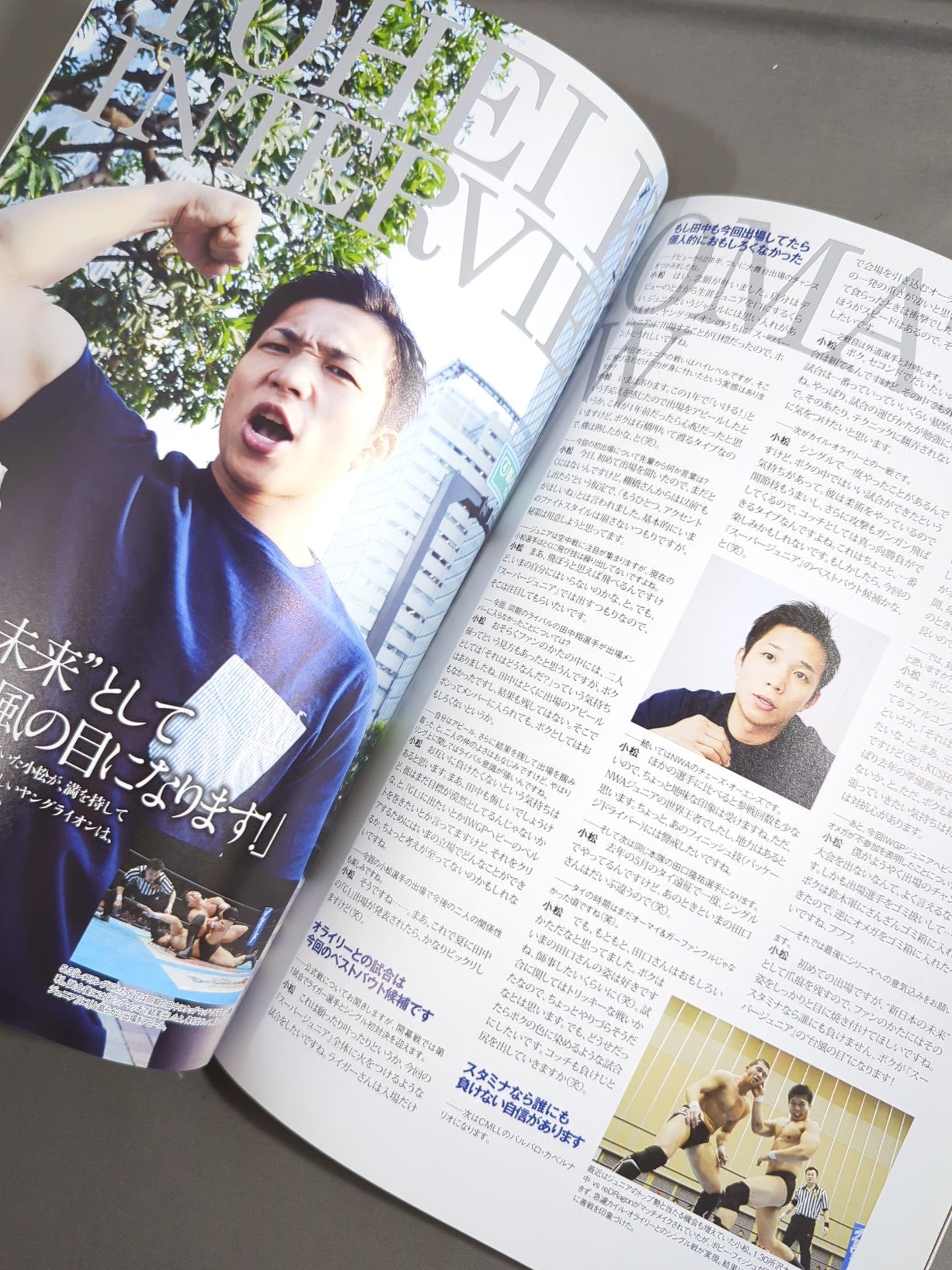 NJPW OFFICIAL MAGAZINE 2015 Vol.4