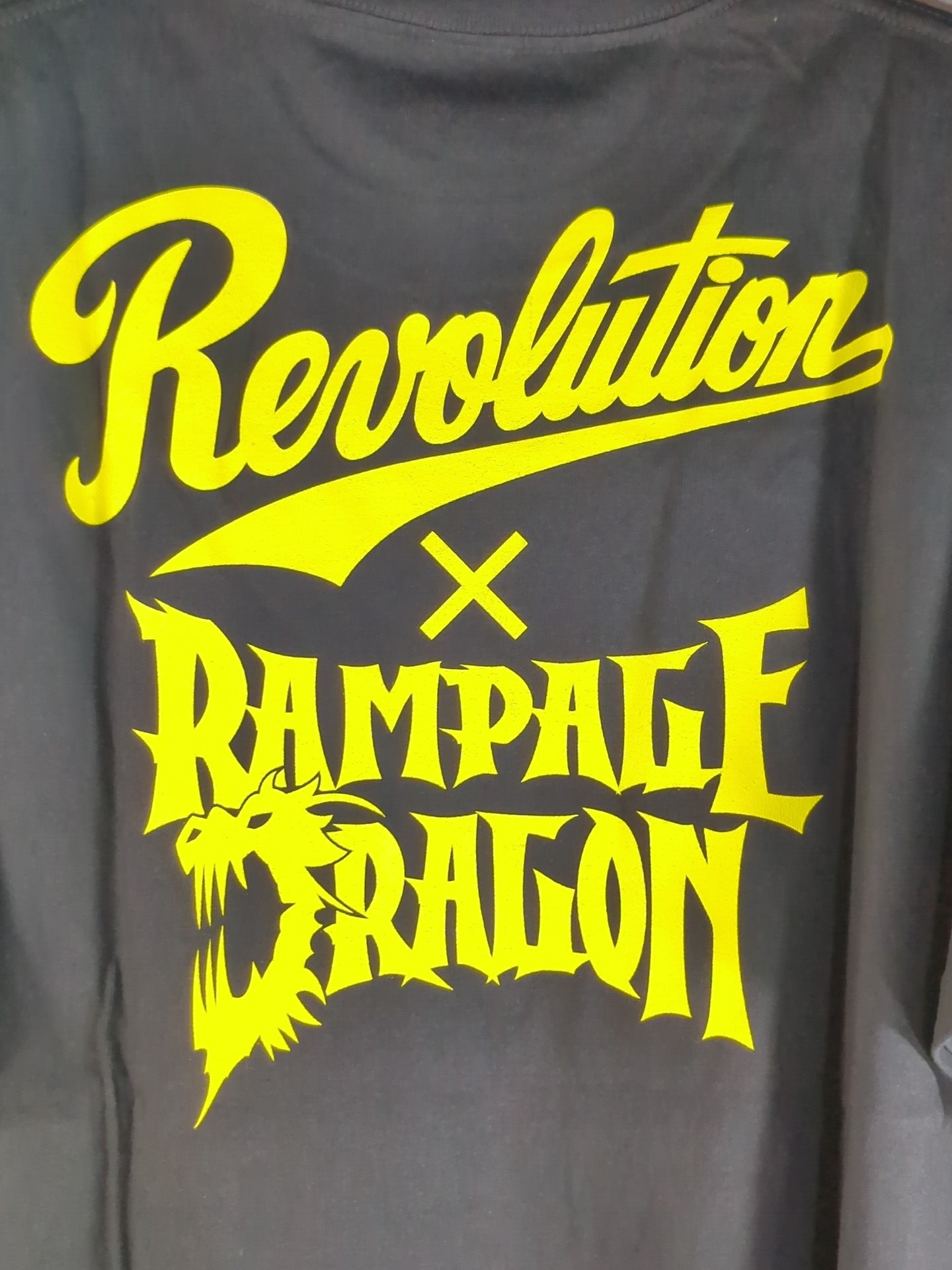 Tenryu Genichiro & Shingo Takagi  Collaboration T-Shirt