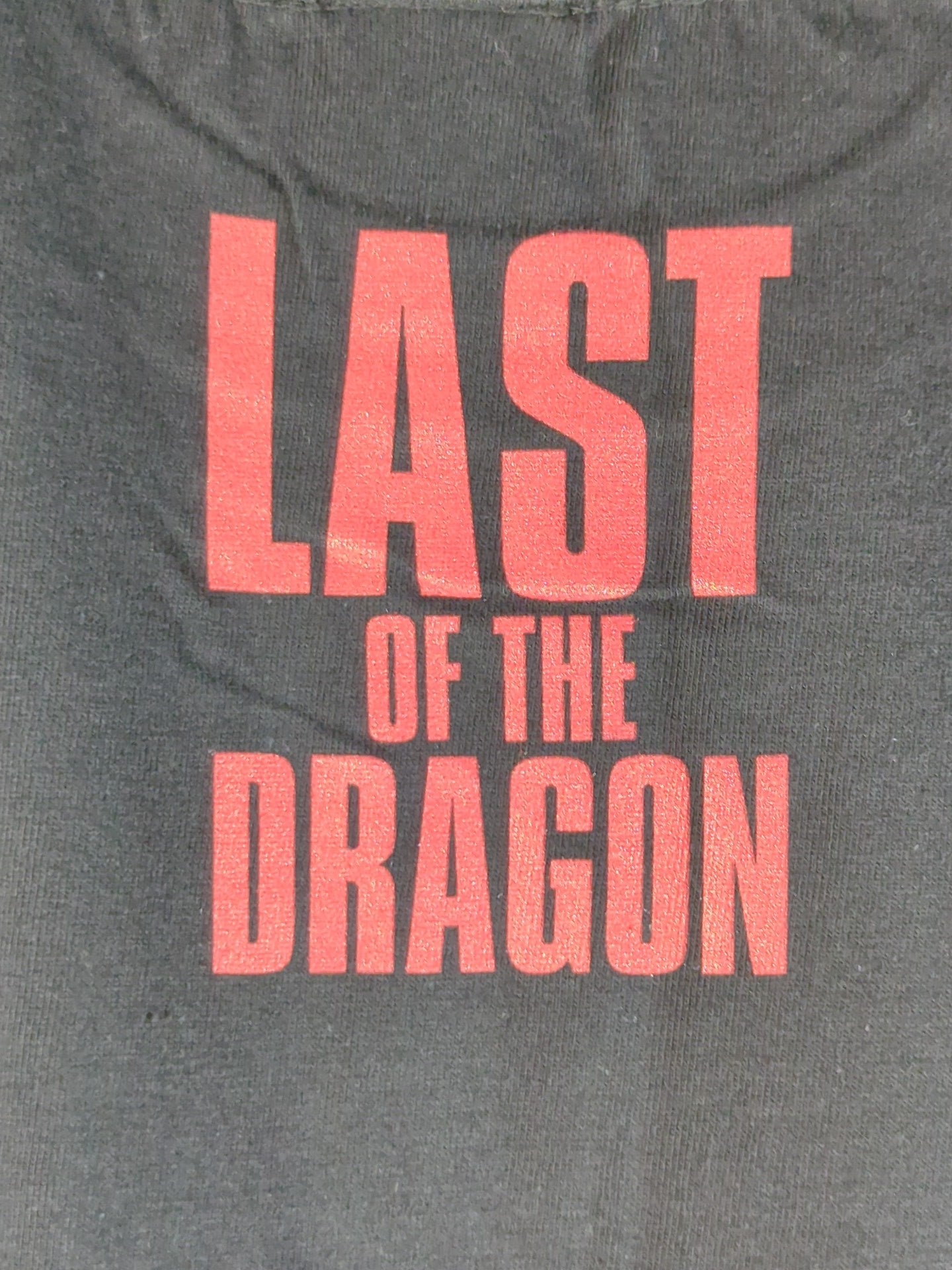 FINISHING MOVE TEE (Shingo Takagi )