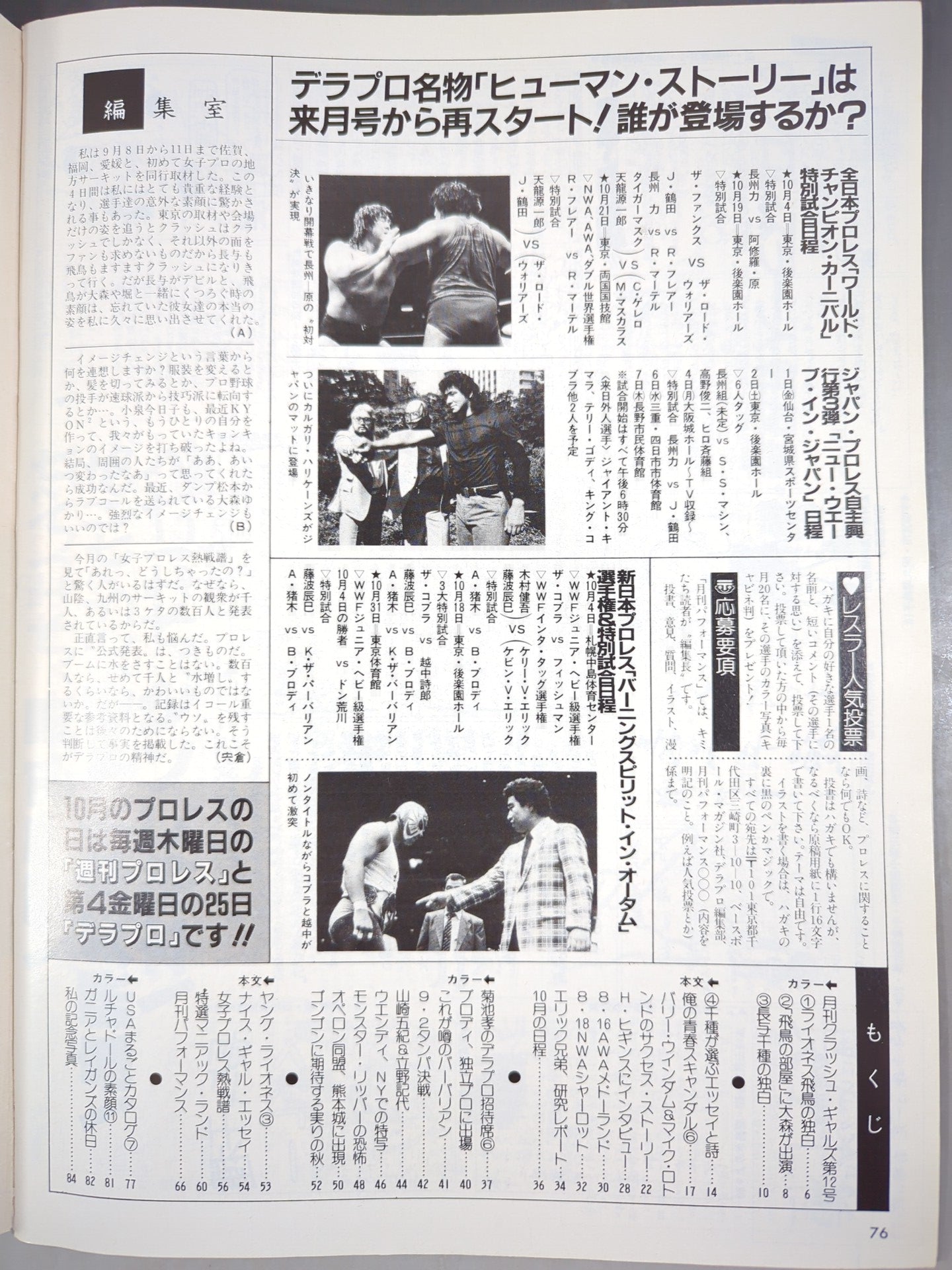 Deluxe Pro Wrestling November 1985