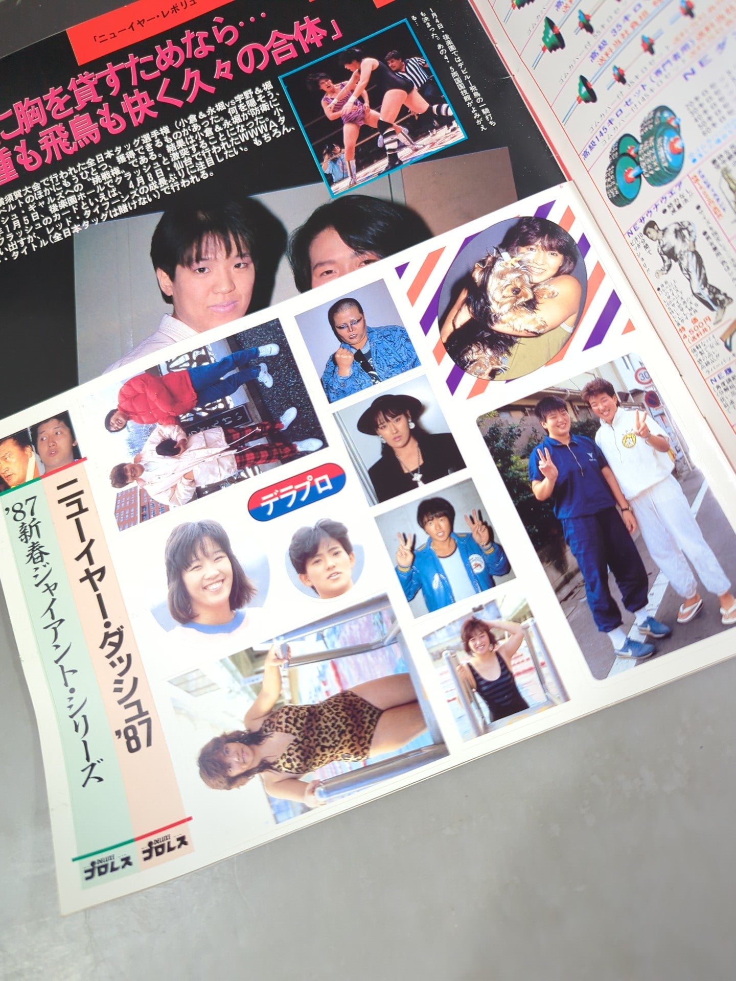 Deluxe Pro Wrestling February 1987