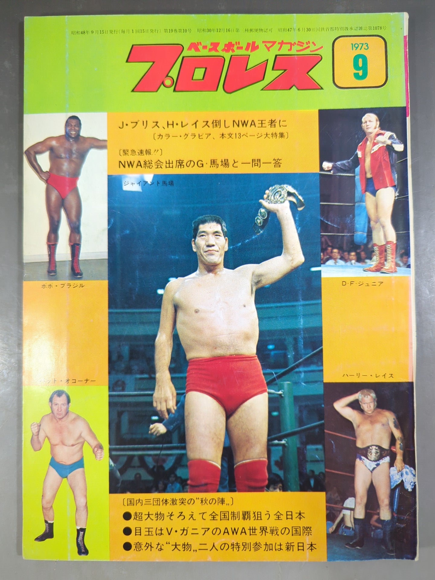 Monthly Pro Wrestling September 1973 issue