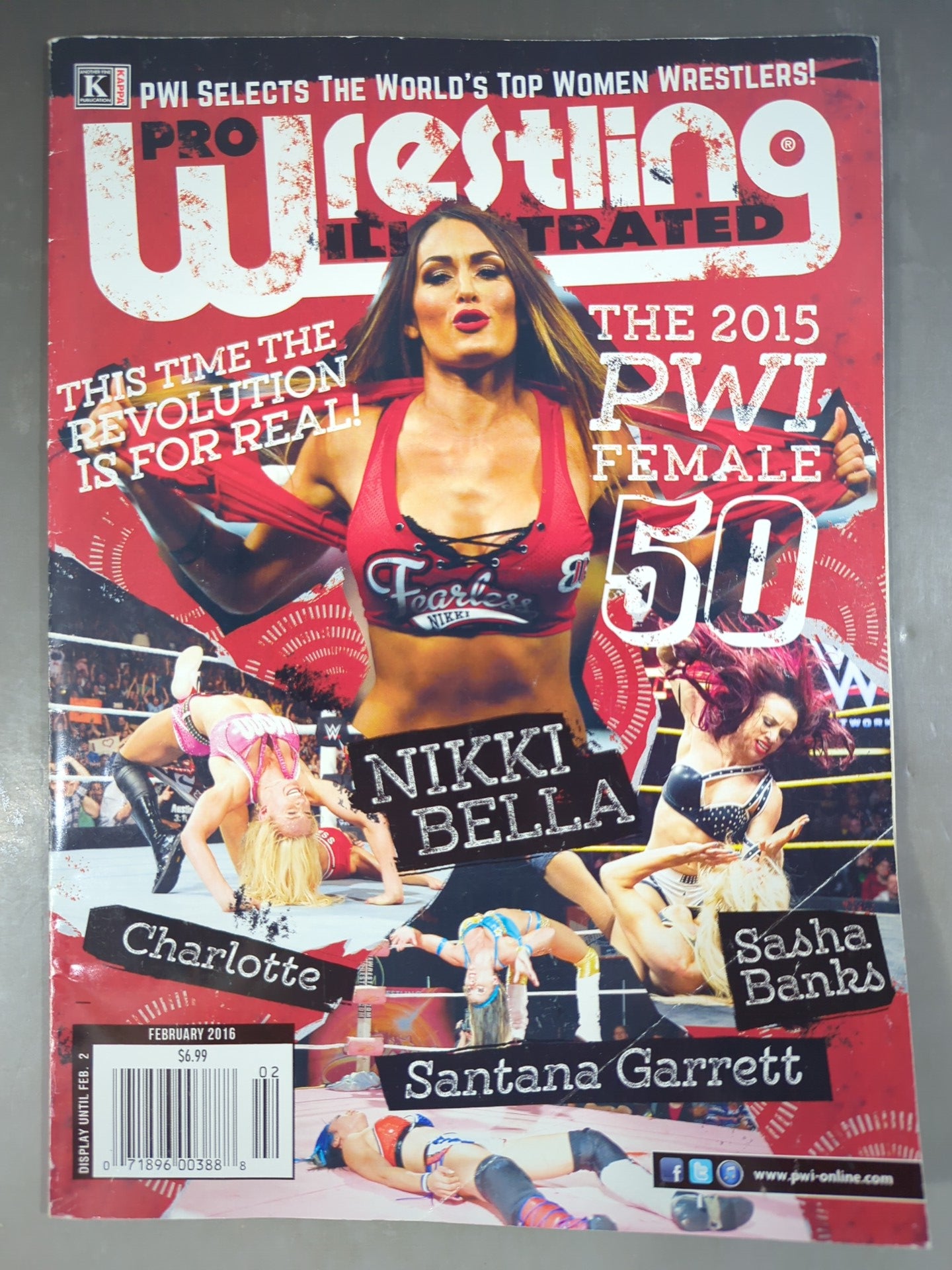 PROWrestling ILLUSTRATED February 2016