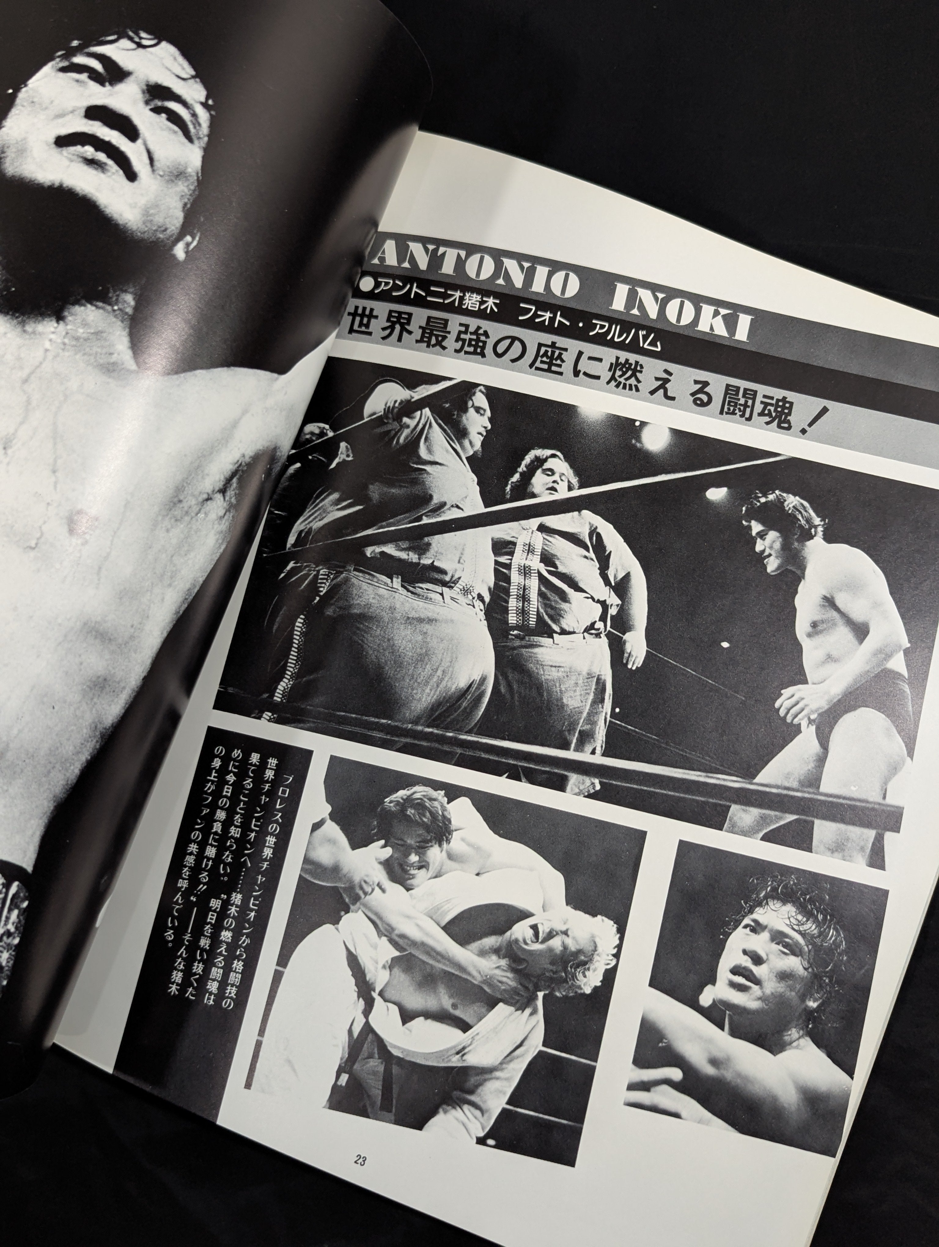 新日本プロレス半券2枚セット1991年2月5日スーパーフェブルアリイン'91