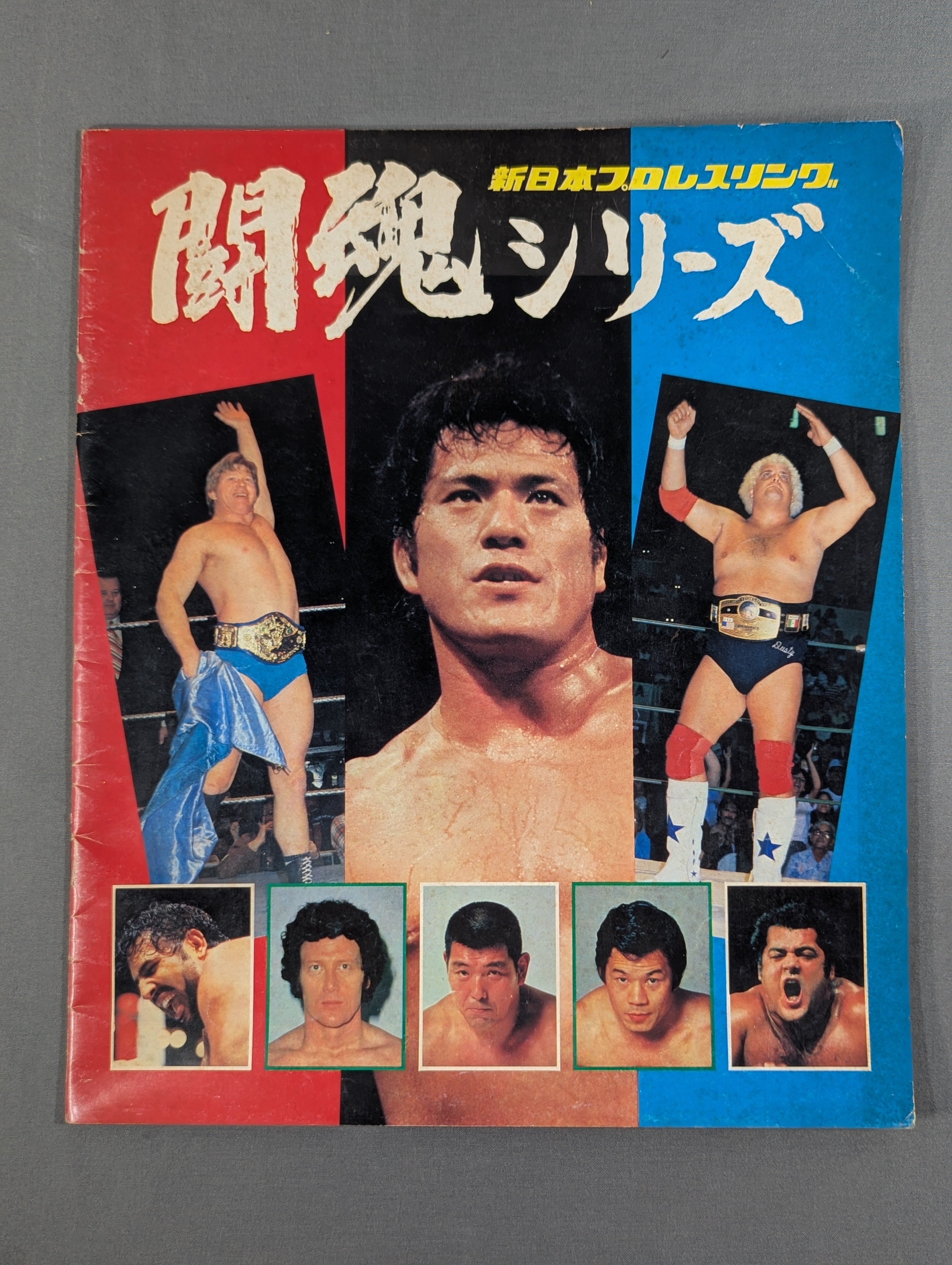 79闘魂シリーズ – 闘道館