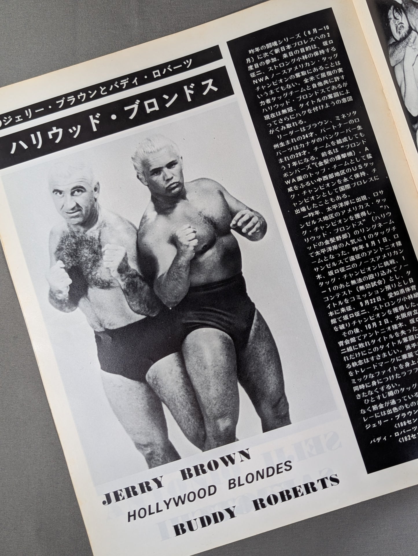 76 Golden Fight Series
