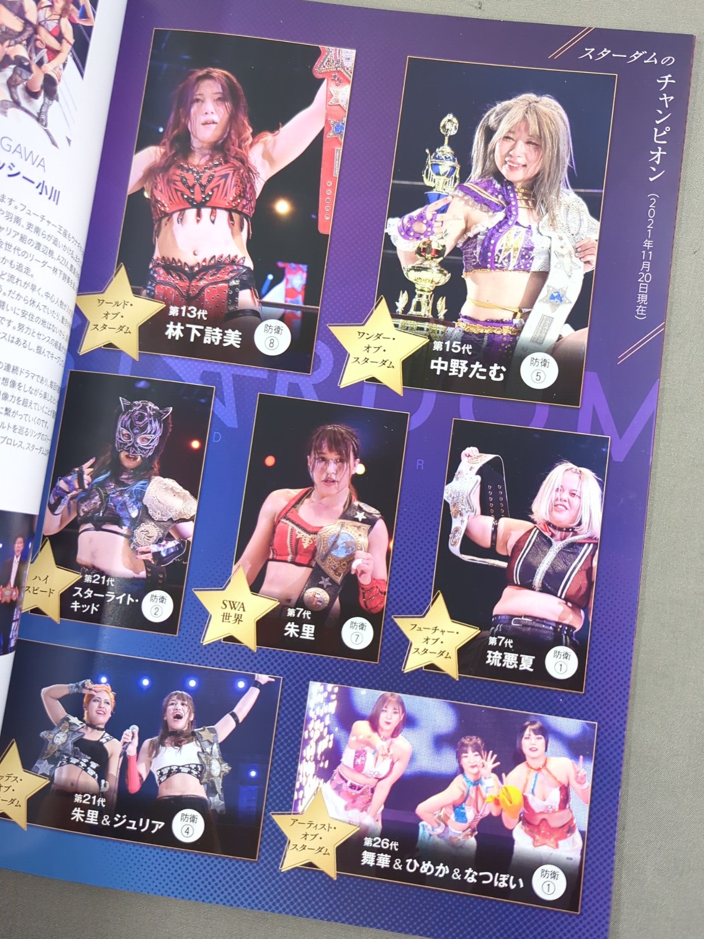 STARDOM OFFICIAL GUIDE BOOK Vol.139