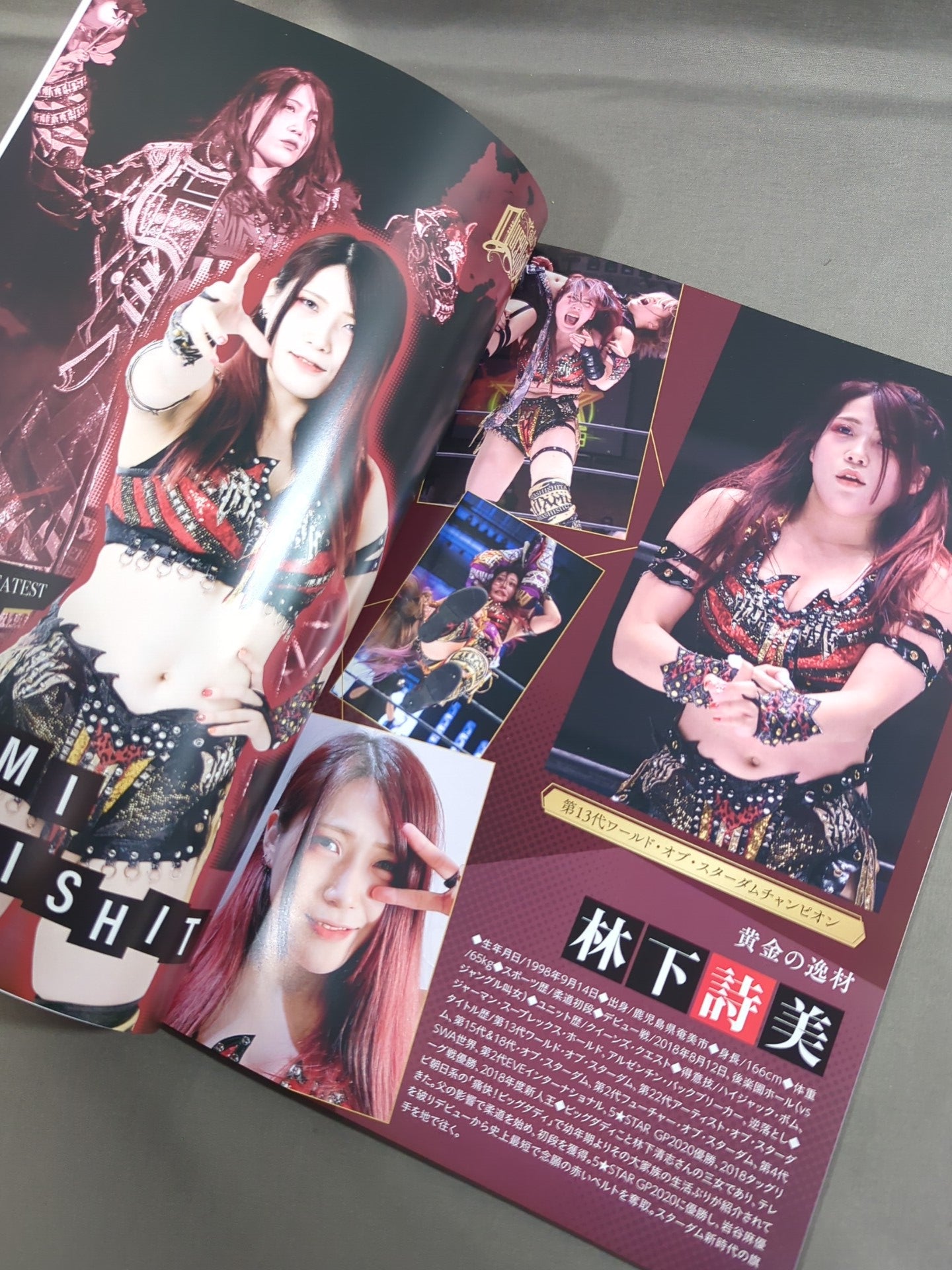 STARDOM OFFICIAL GUIDE BOOK Vol.139