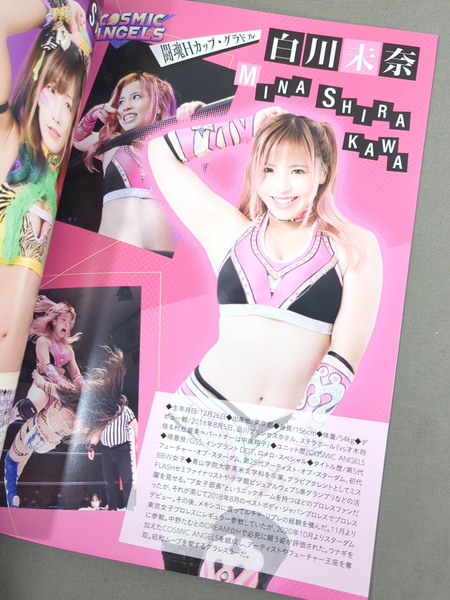 STARDOM OFFICIAL GUIDE BOOK Vol.139