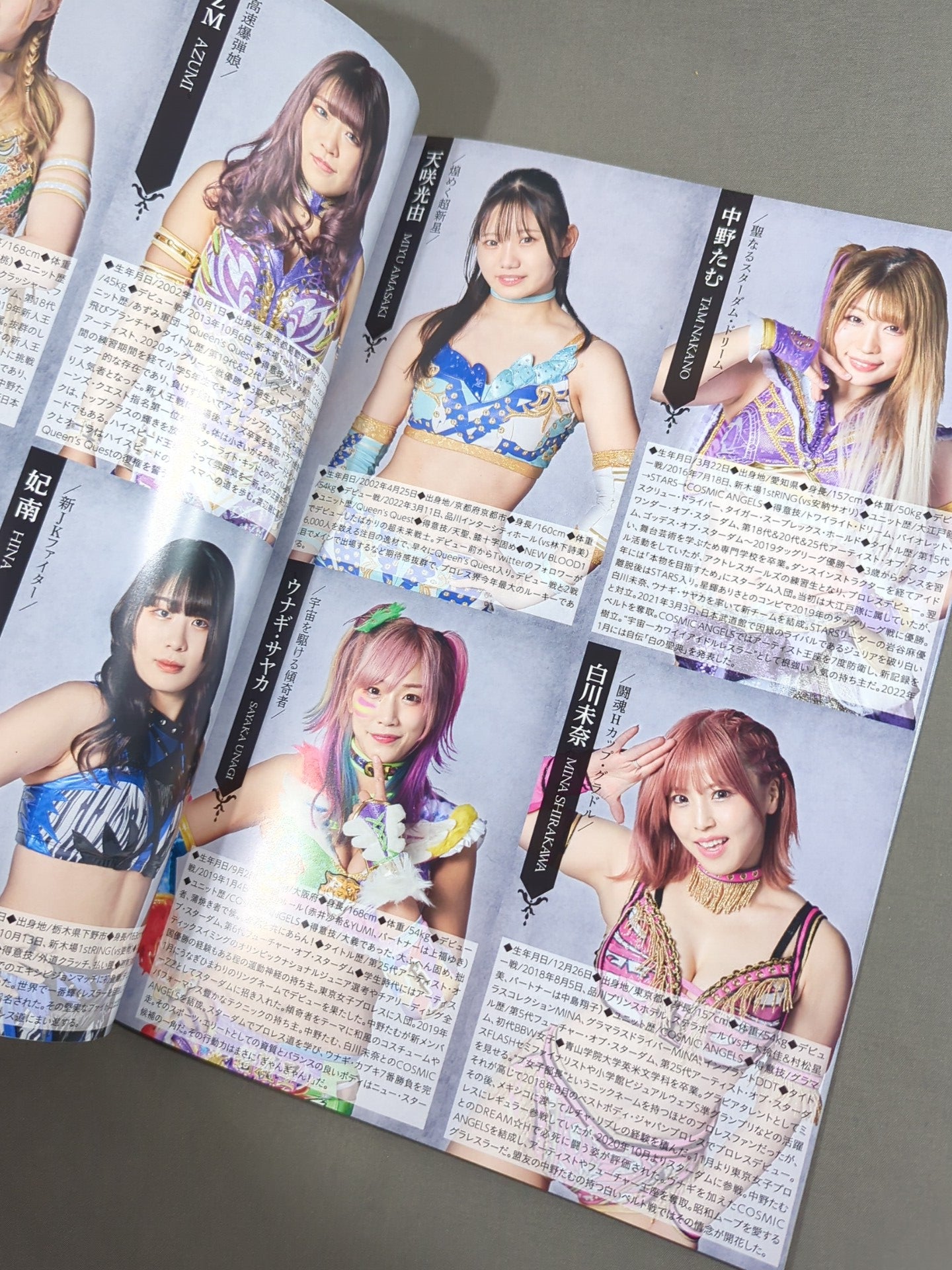 STARDOM OFFICIAL GUIDE BOOK Vol.142
