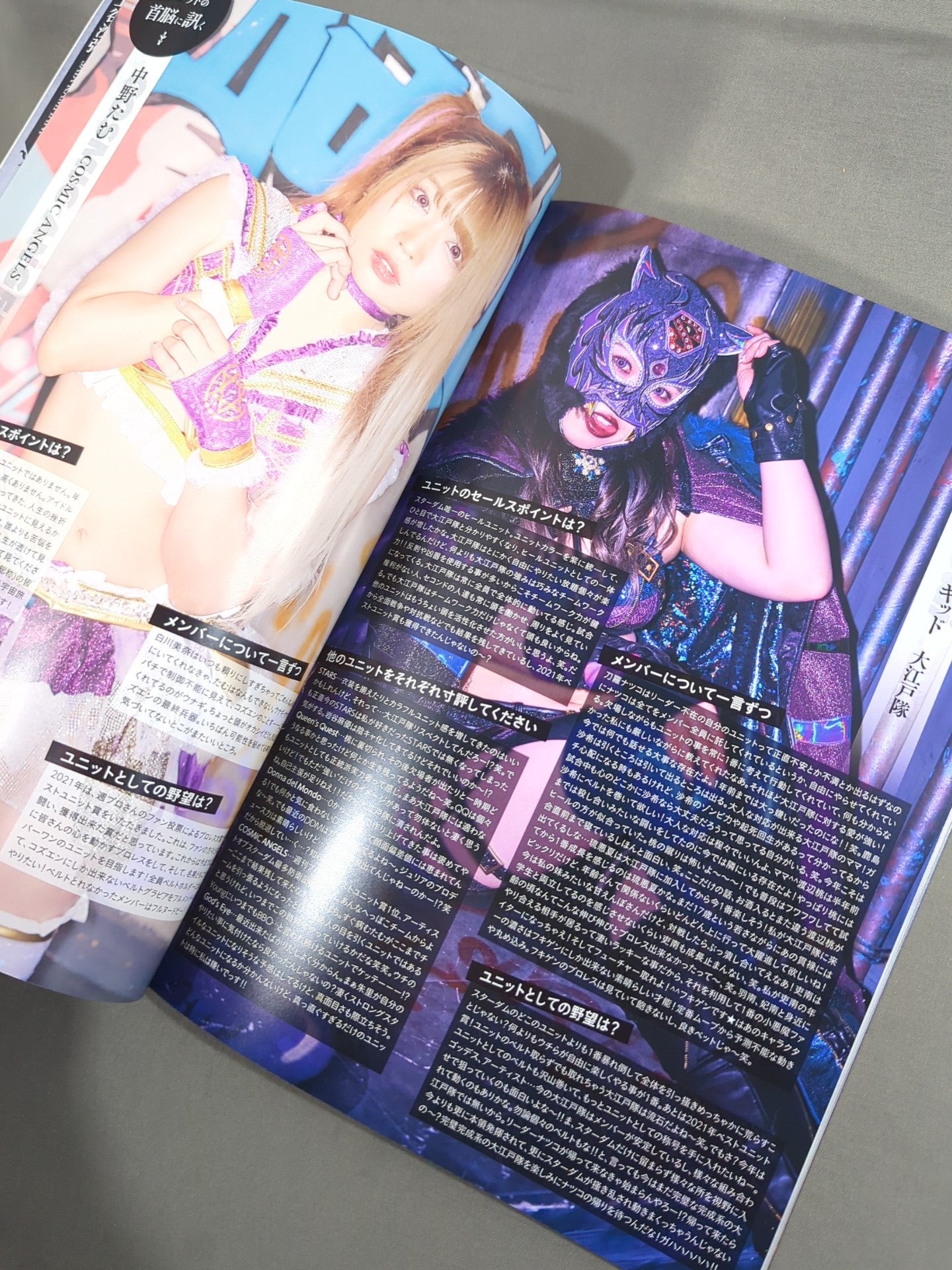 STARDOM OFFICIAL GUIDE BOOK Vol.142