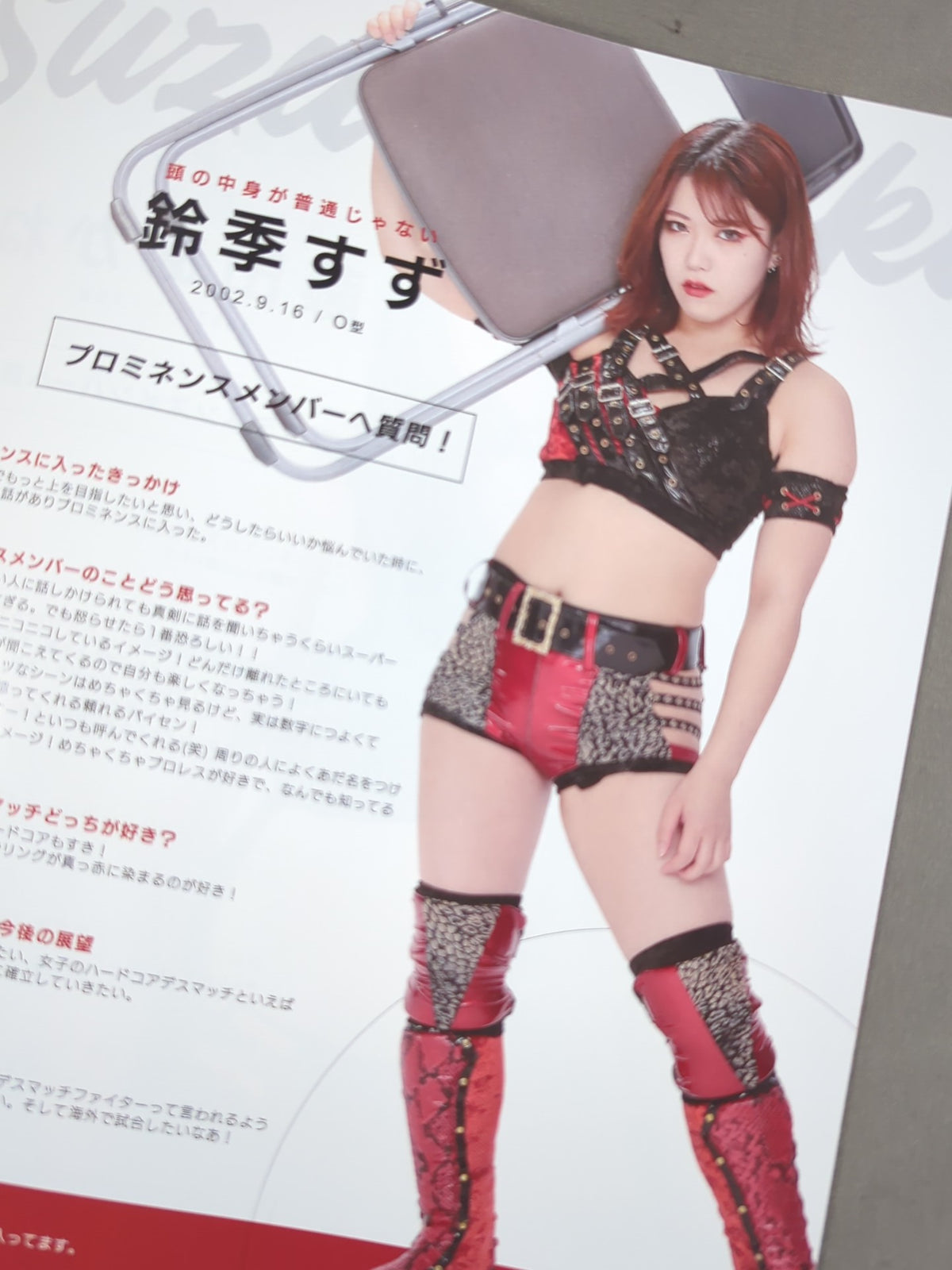 Prominence First Show  Brochure