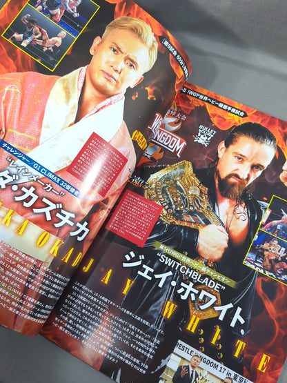 ★ Antonio Inoki  Memorial Tournament ★ Wrestle Kingdom 17 ~Fighting Spirit, Forever~
