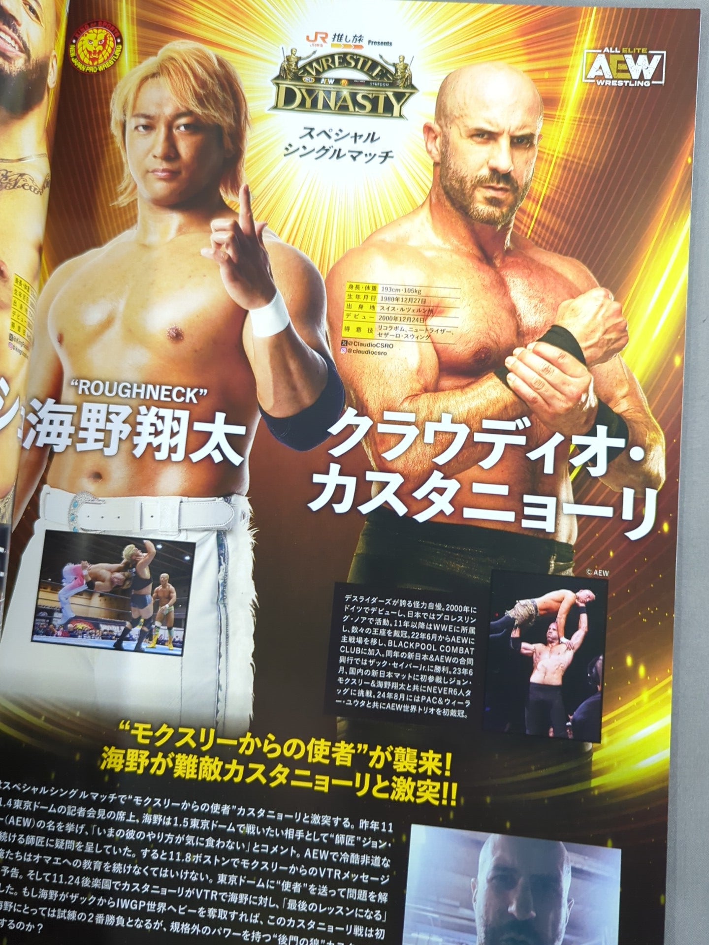 レッスルキングダム19&ダイナスティ / WRESTLE KINGDOM 19 & DYNASTY