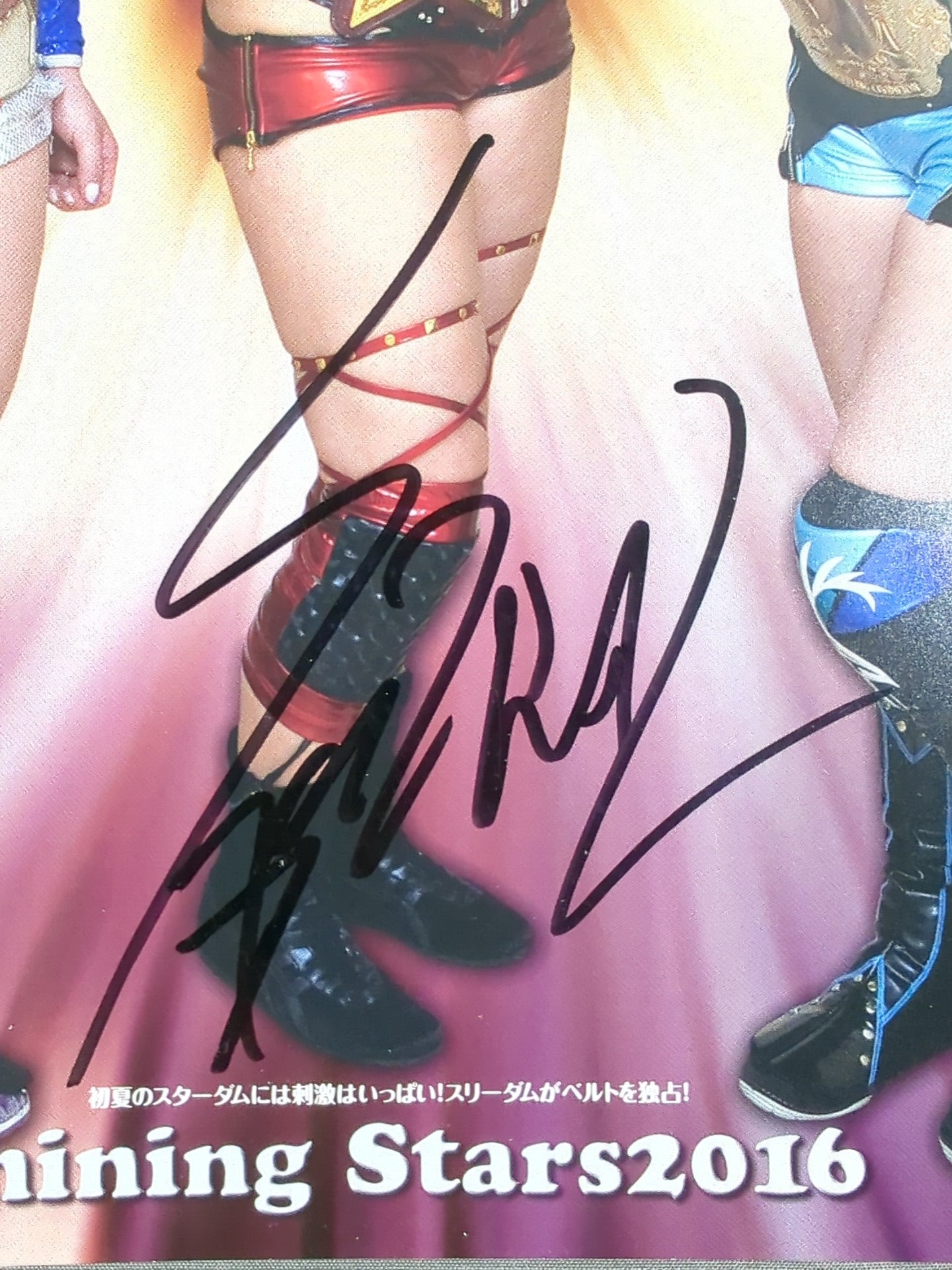 スターダム STARDOM VIP席特典 大阪 直筆サイン入りポスター 美闘陽子＆風香 直筆サイン入り】STARDOM Opening Official Poster