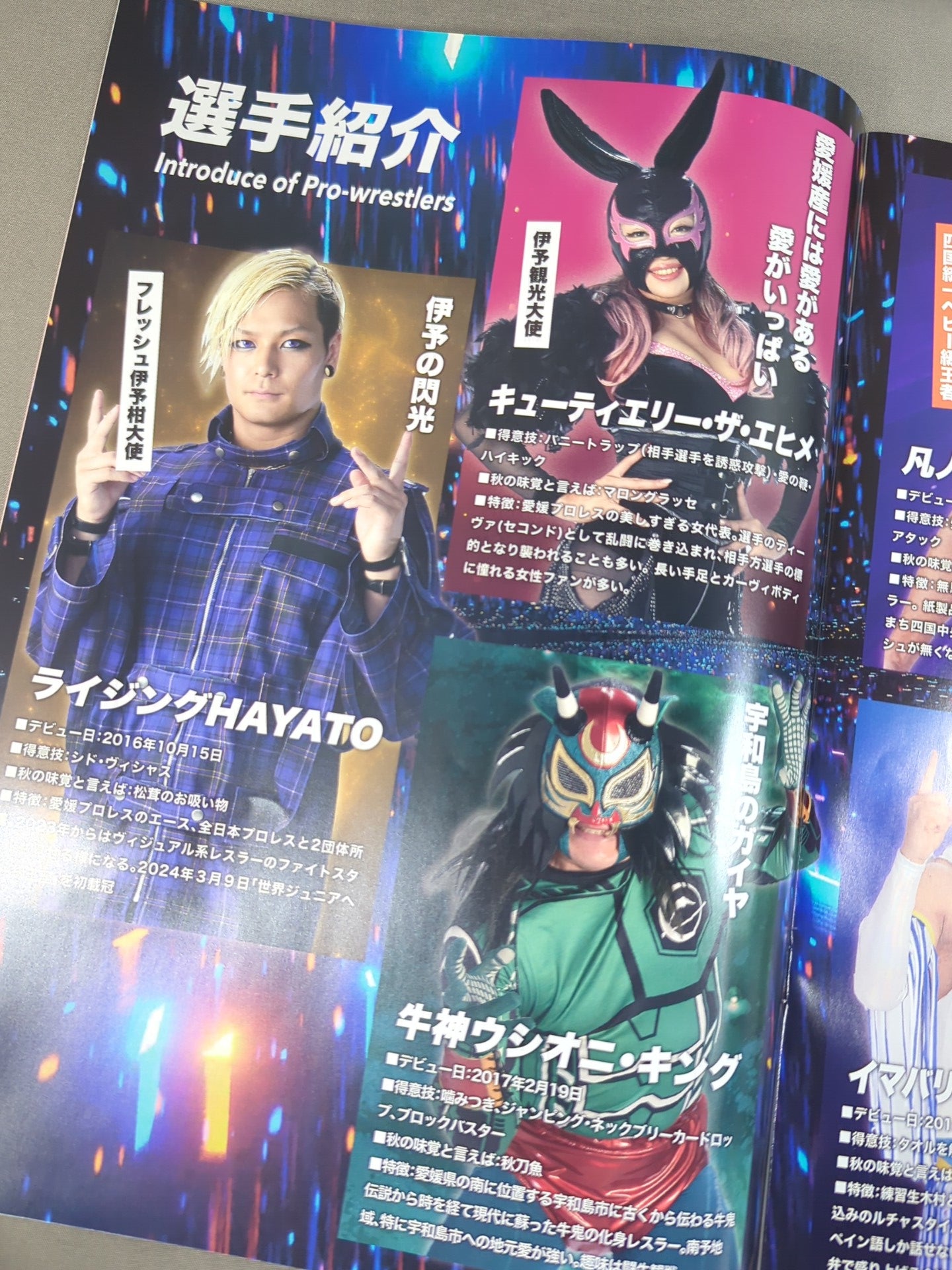 Ehime Pro Wrestling  DECISION