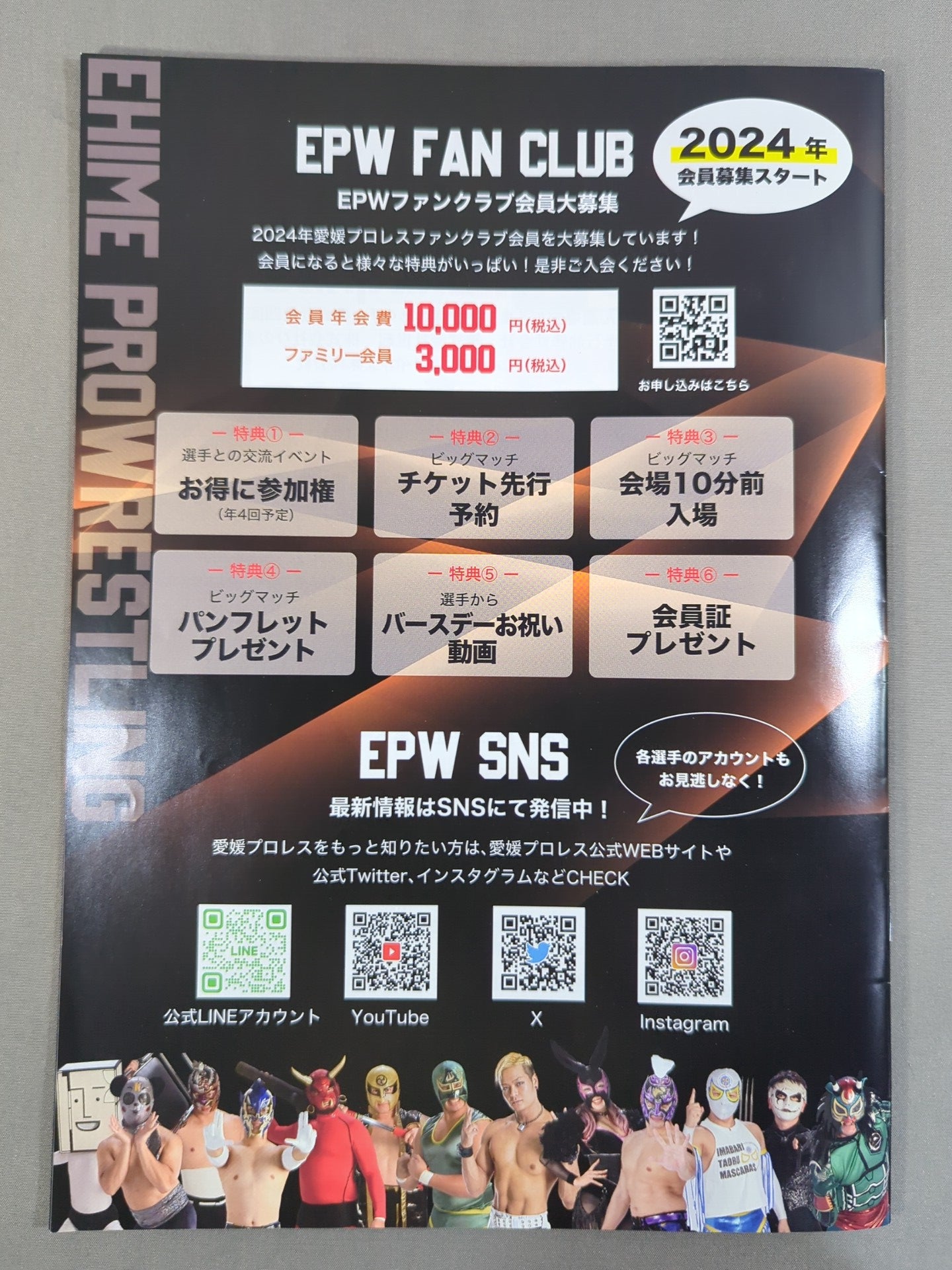 Ehime Pro Wrestling  DECISION
