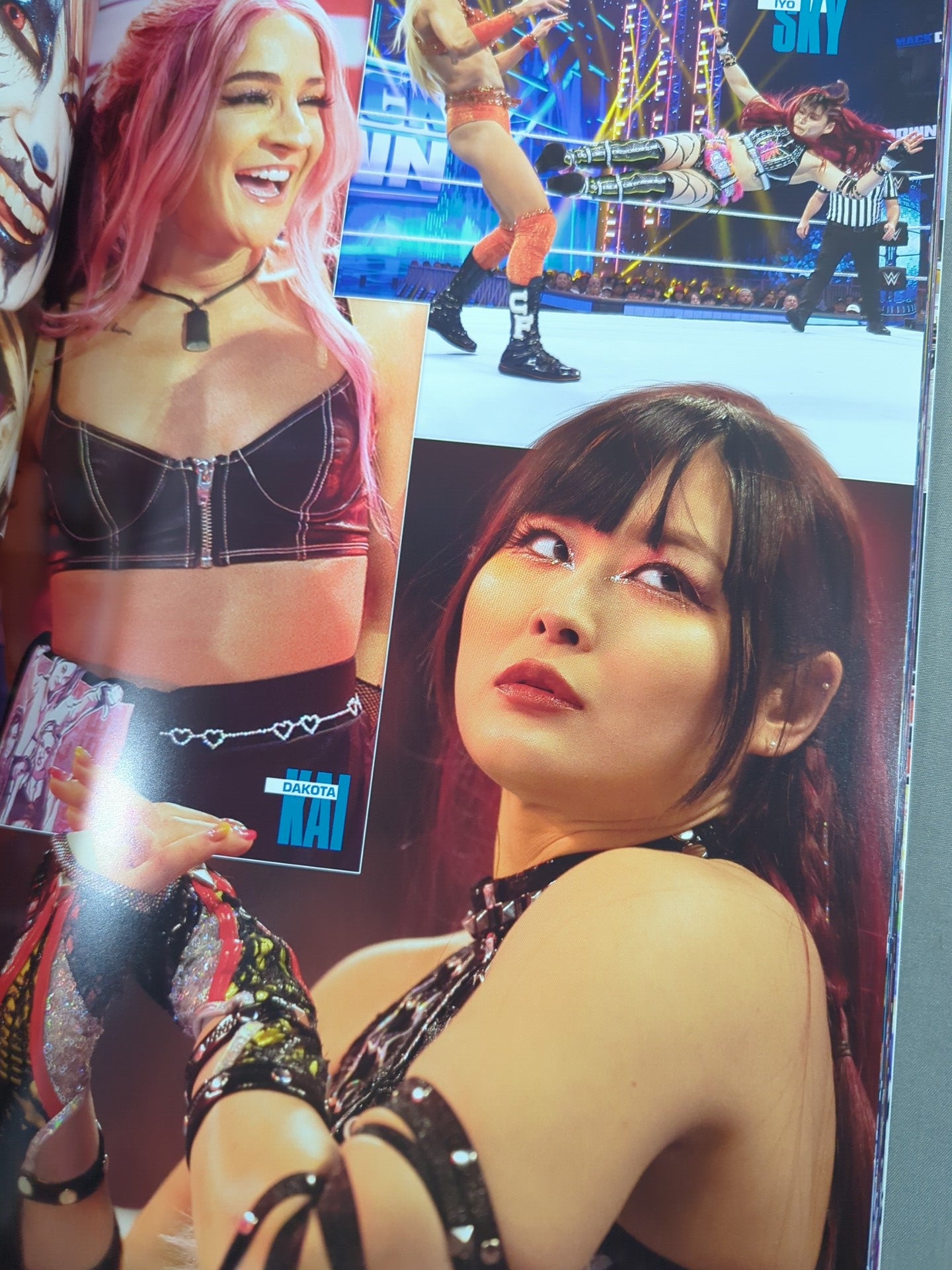 WWE OFFICIAL PROGRAM 2024