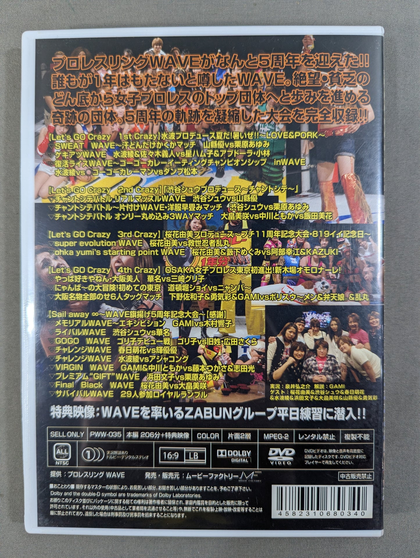 Pro-wrestling WAVE 5th Anniversary Fan Appreciation Festival Let's Go CRAZY