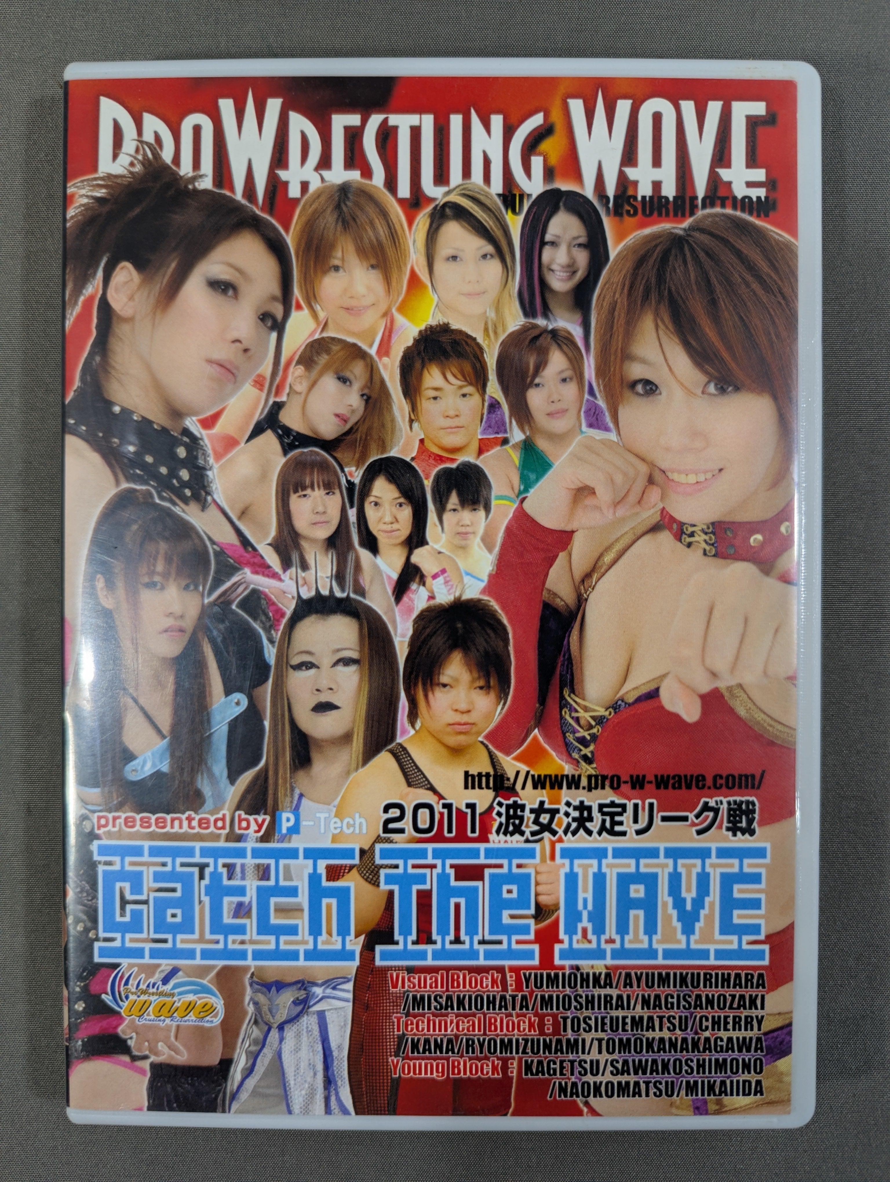PROWRESSLING WAVE 2013波女決定リーグ戦 Pro-wrestling WAVE 2011 Wave Women's League Match Catch the WAVE