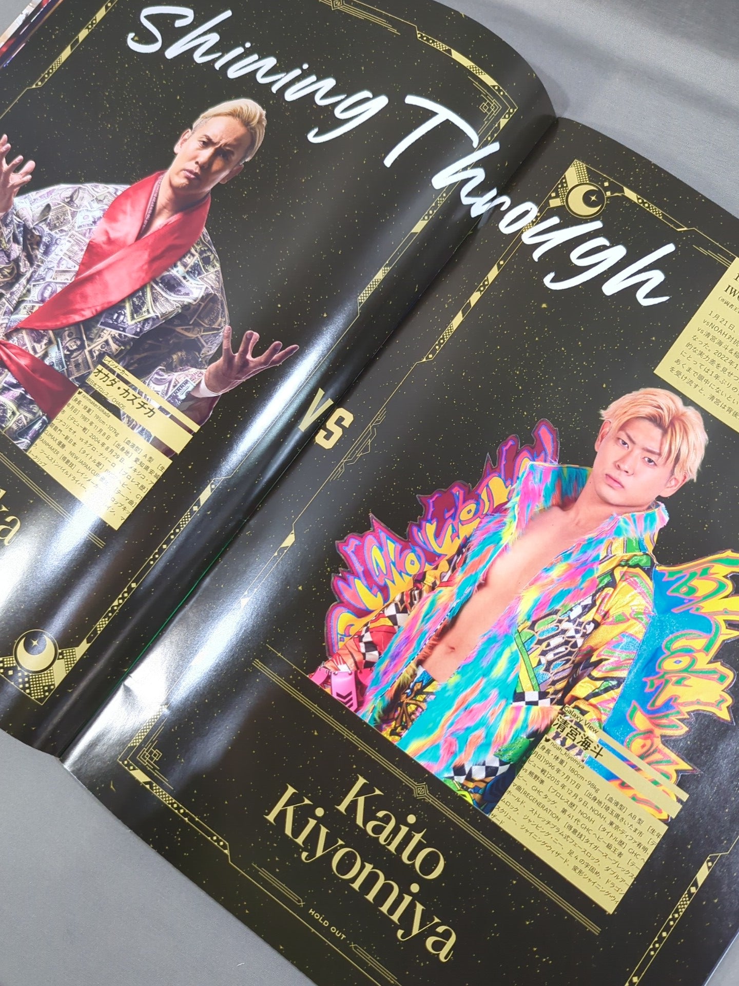 ☆武藤敬司 引退試合☆ KEIJI MUTO GRAND FINAL PRO-WRESTLING“LAST