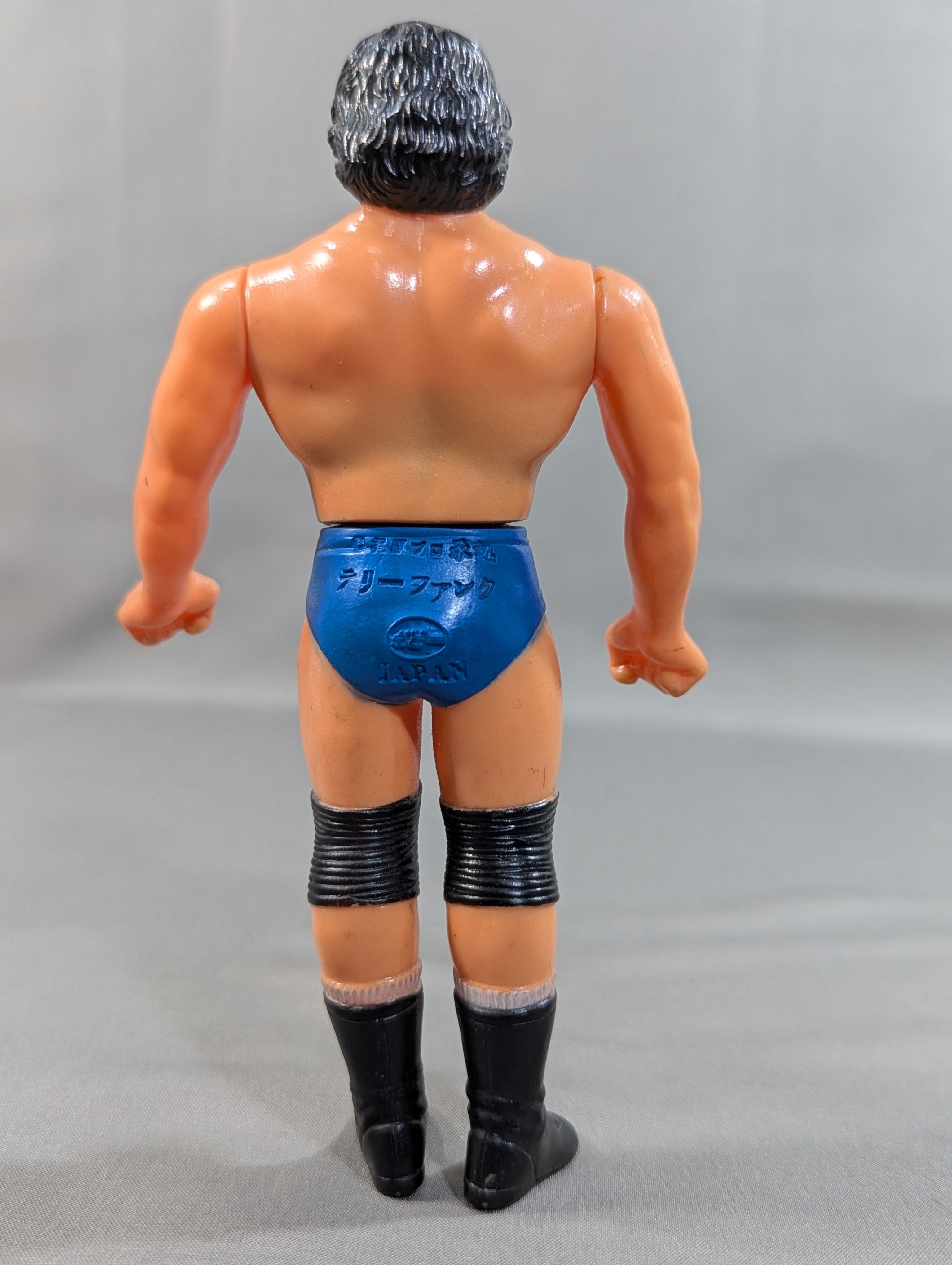 Super Pro Wrestler series Terry Funk – 闘道館