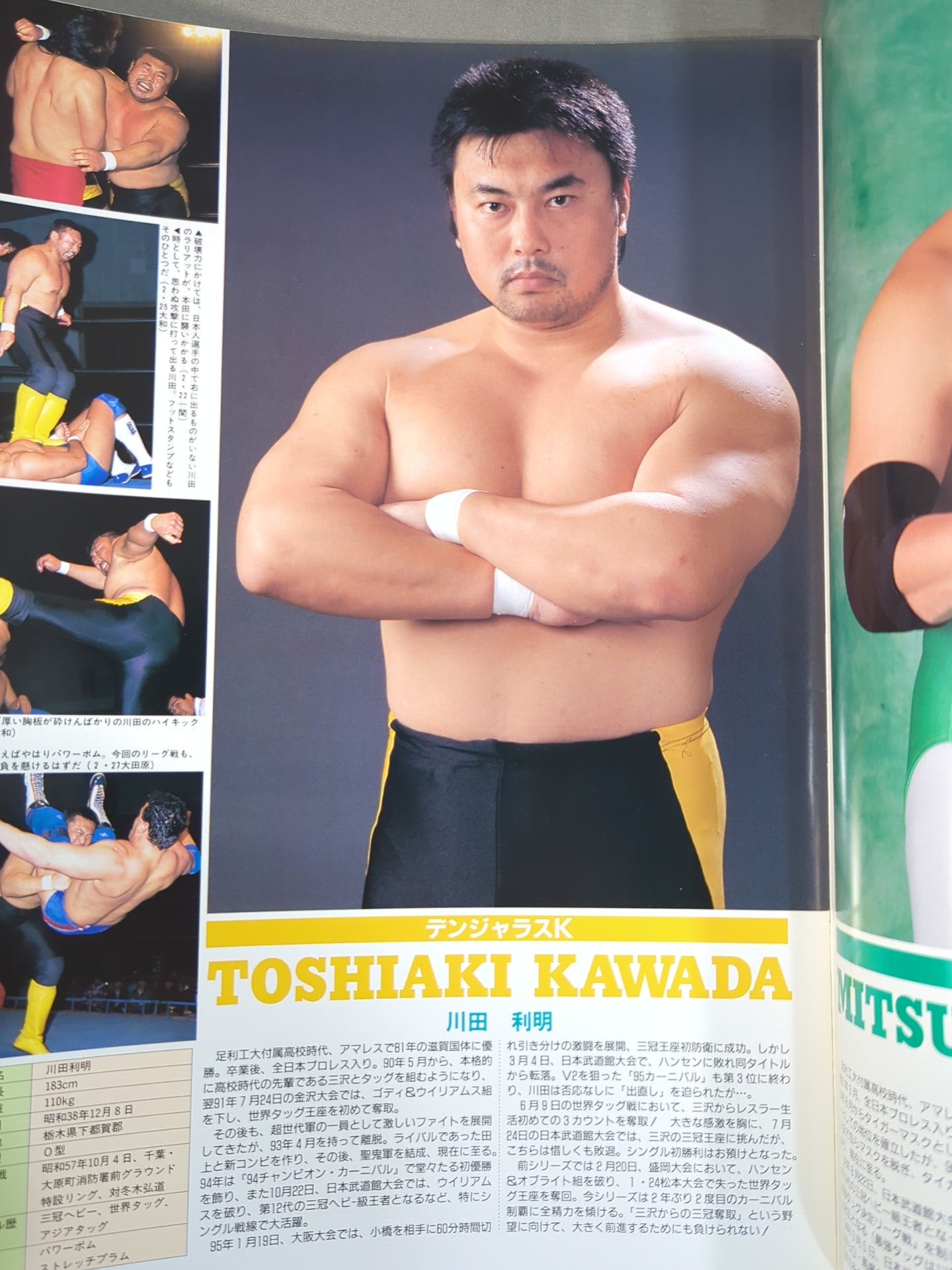 96チャンピオン・カーニバル 王・道・新・展・開～’96実力開花宣言～