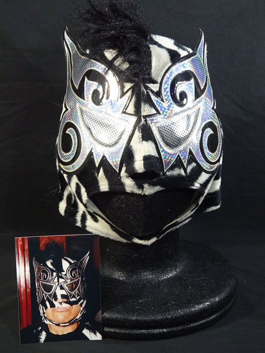 ミステル・ゼブラ