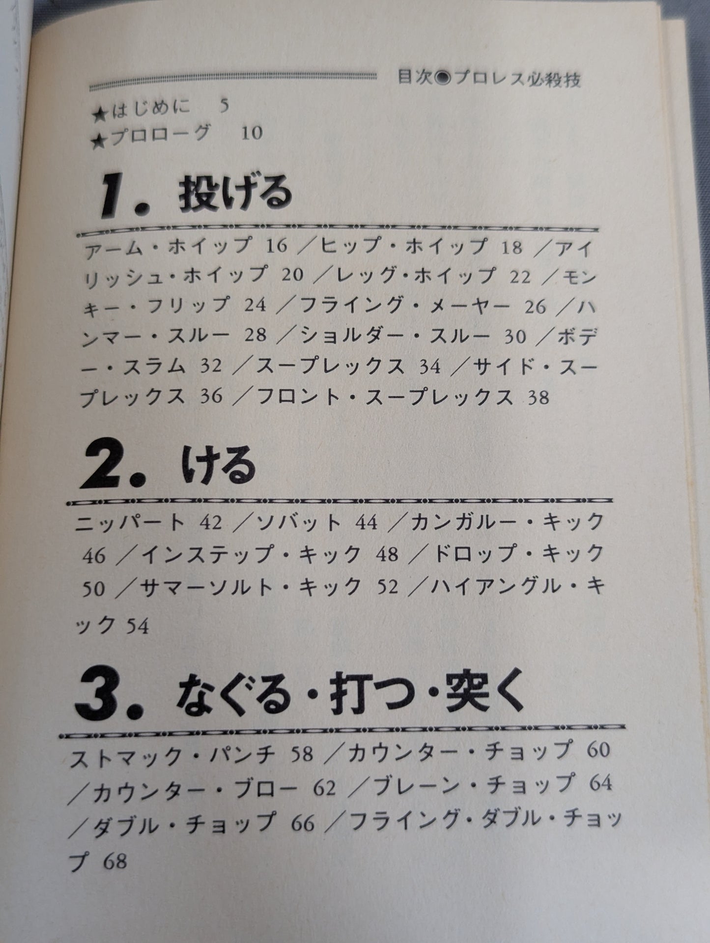 Mame Tanuki Book 101 Pro Wrestling  Special Move