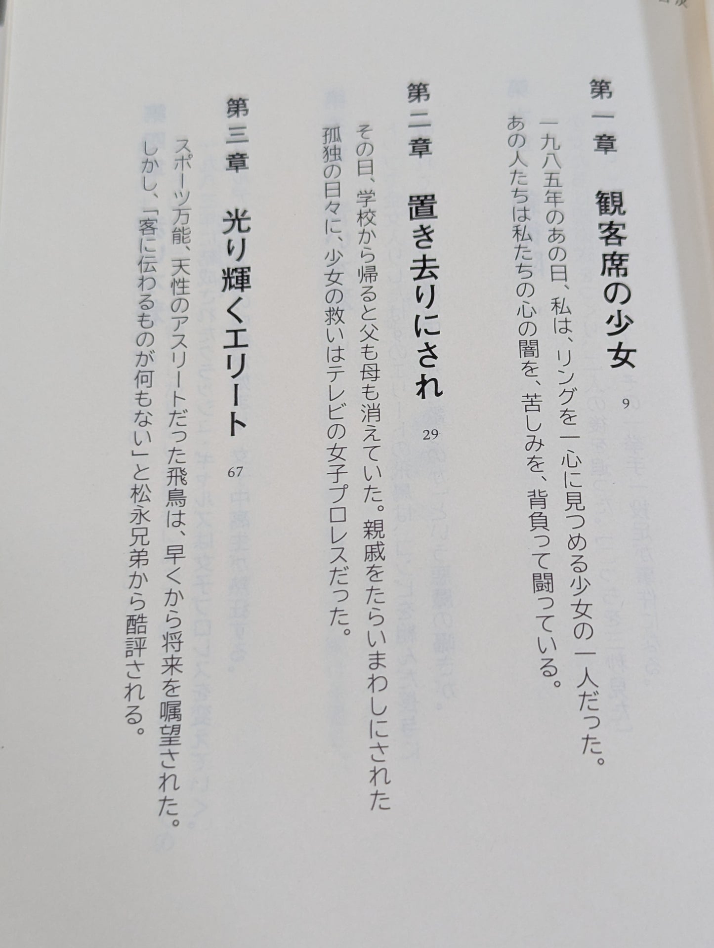 1985年のクラッシュ・ギャルズ