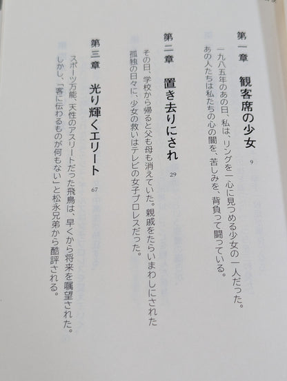 1985年のクラッシュ・ギャルズ