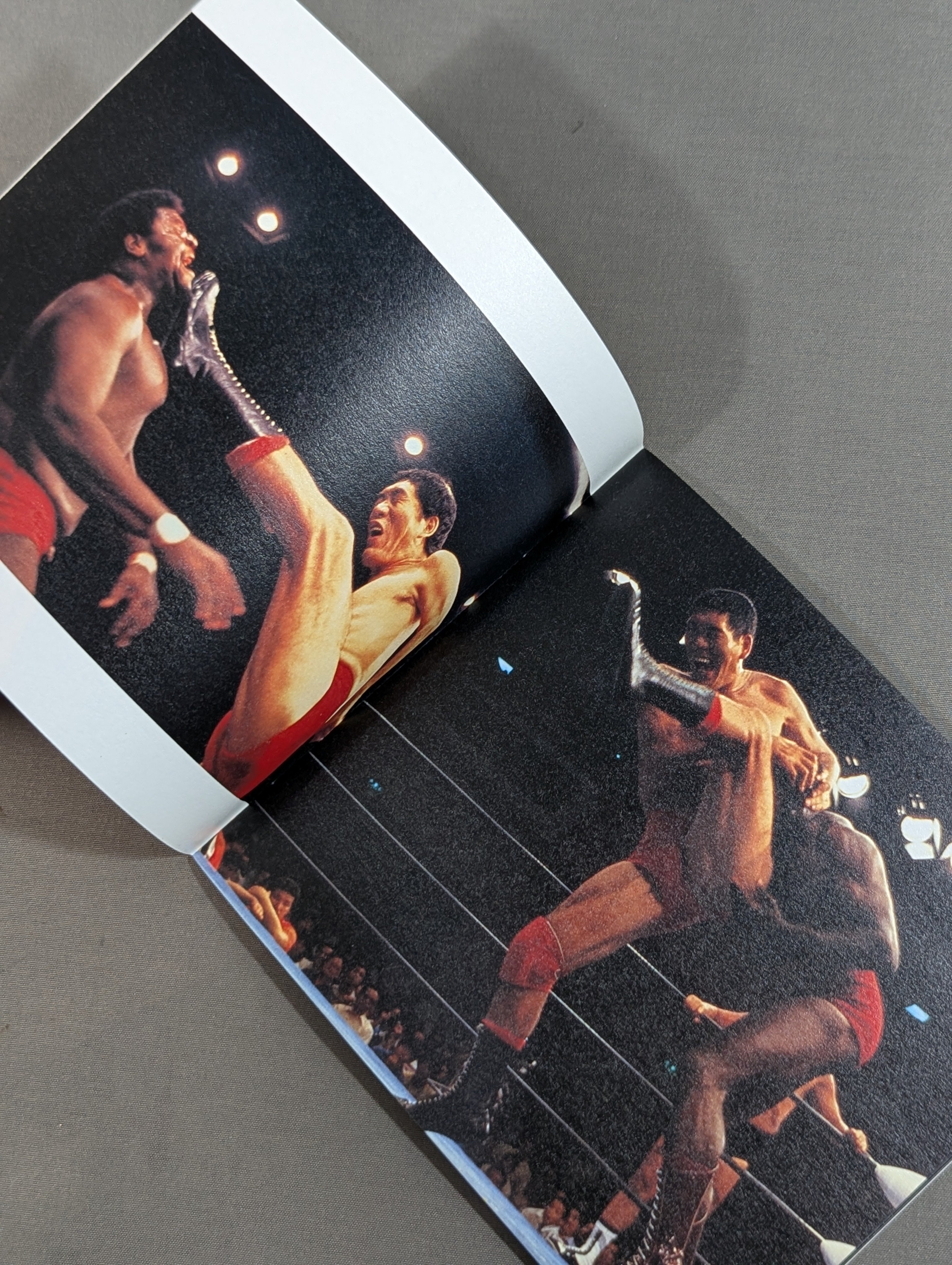 全日本プロレス 創立30周年記念アルバム 王道バク進! – 闘道館