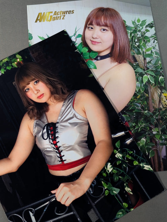 Arita HIMEKA  Pro-Photo  2-disc set