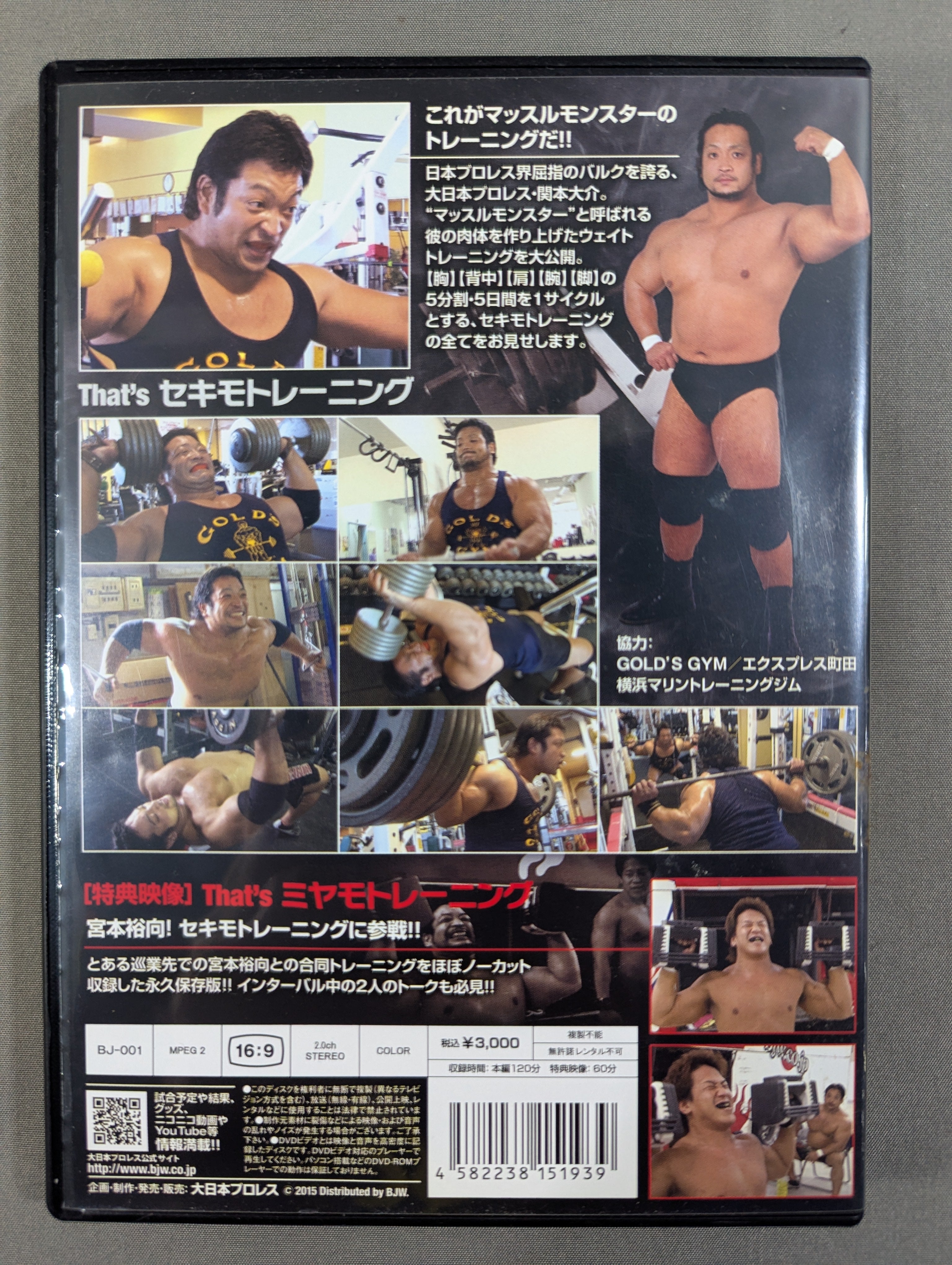 ☆大日本プロレス 関本大介☆ That's セキモトレーニング – 闘道館