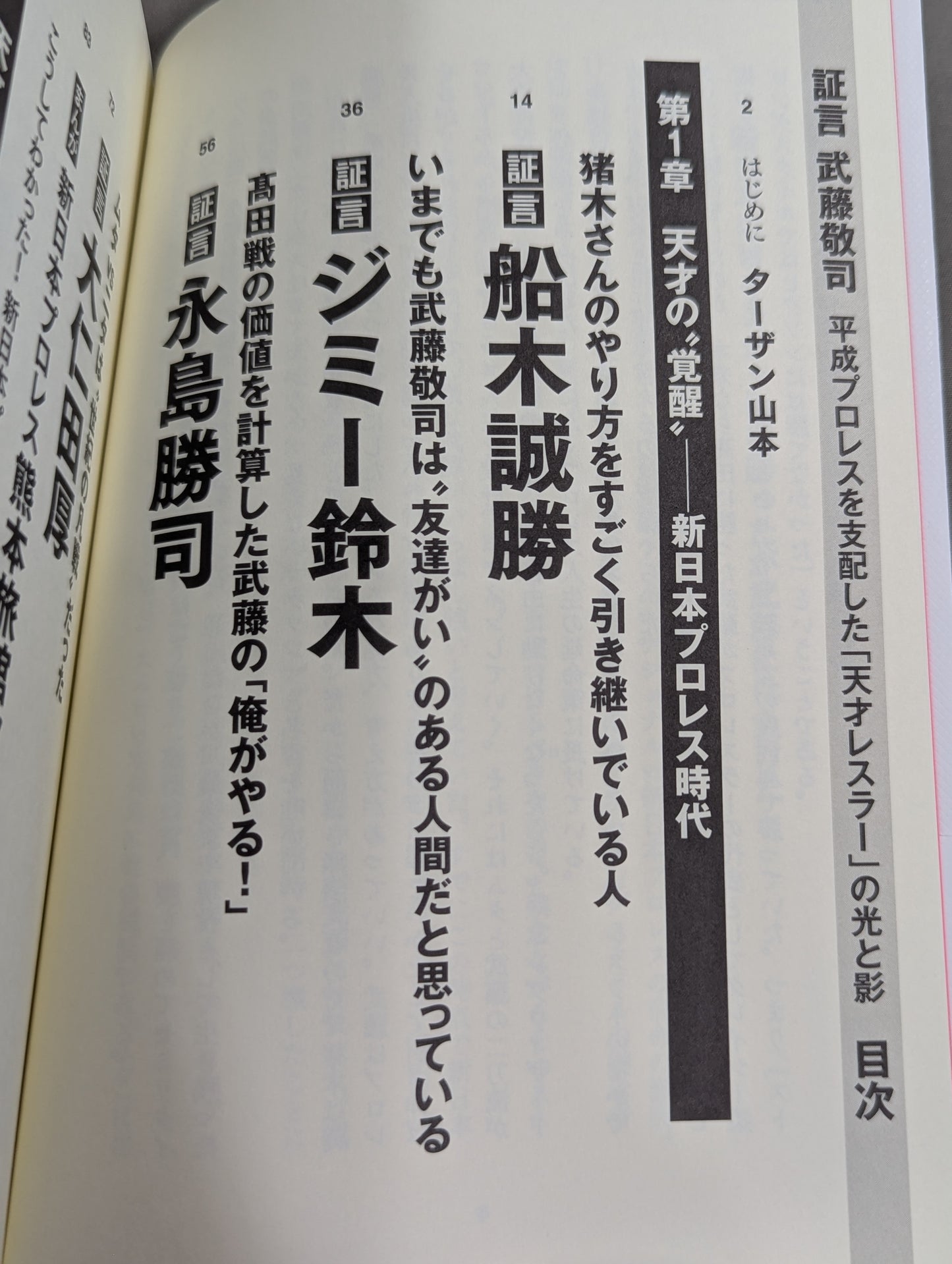 Testimony Muto Keiji  Heisei Pro Wrestling The light and shadow of the "genius wrestler" who ruled