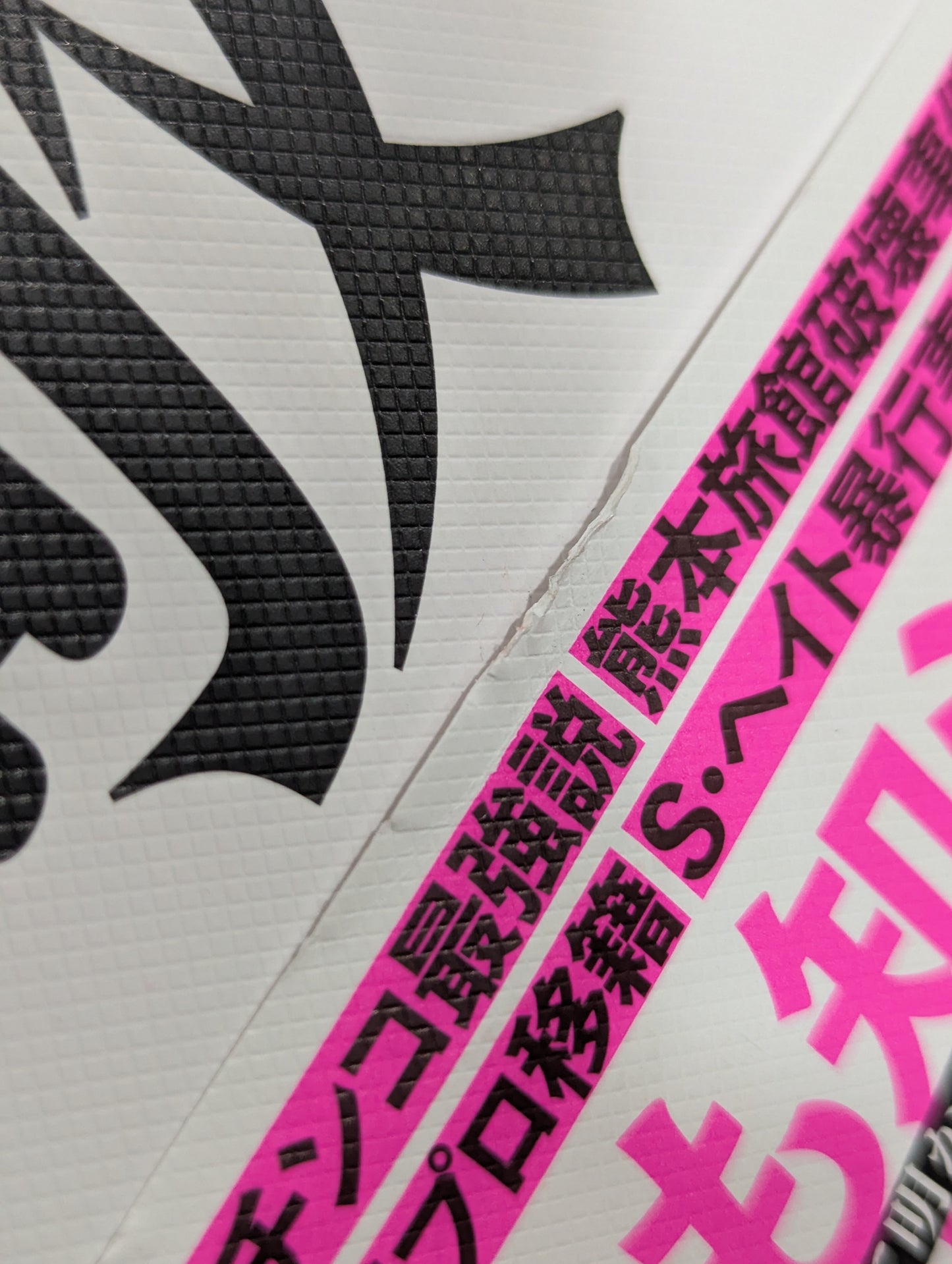 Testimony Muto Keiji  Heisei Pro Wrestling The light and shadow of the "genius wrestler" who ruled