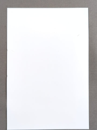 EVIL 浮世絵風 ポストカード (非売品)