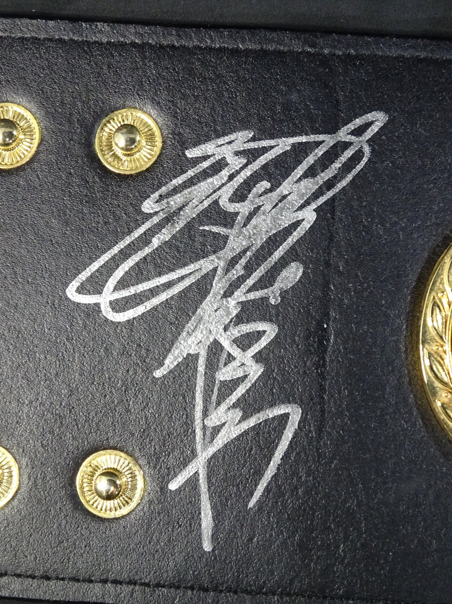 ★ 7 IWGP Champions fighters hand signed autograph !! ★ The first IWGP heavy weight championship belt