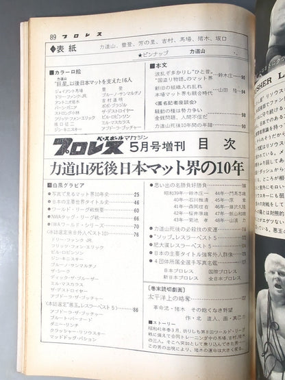 Monthly Pro Wrestling May 1973 issue supplement