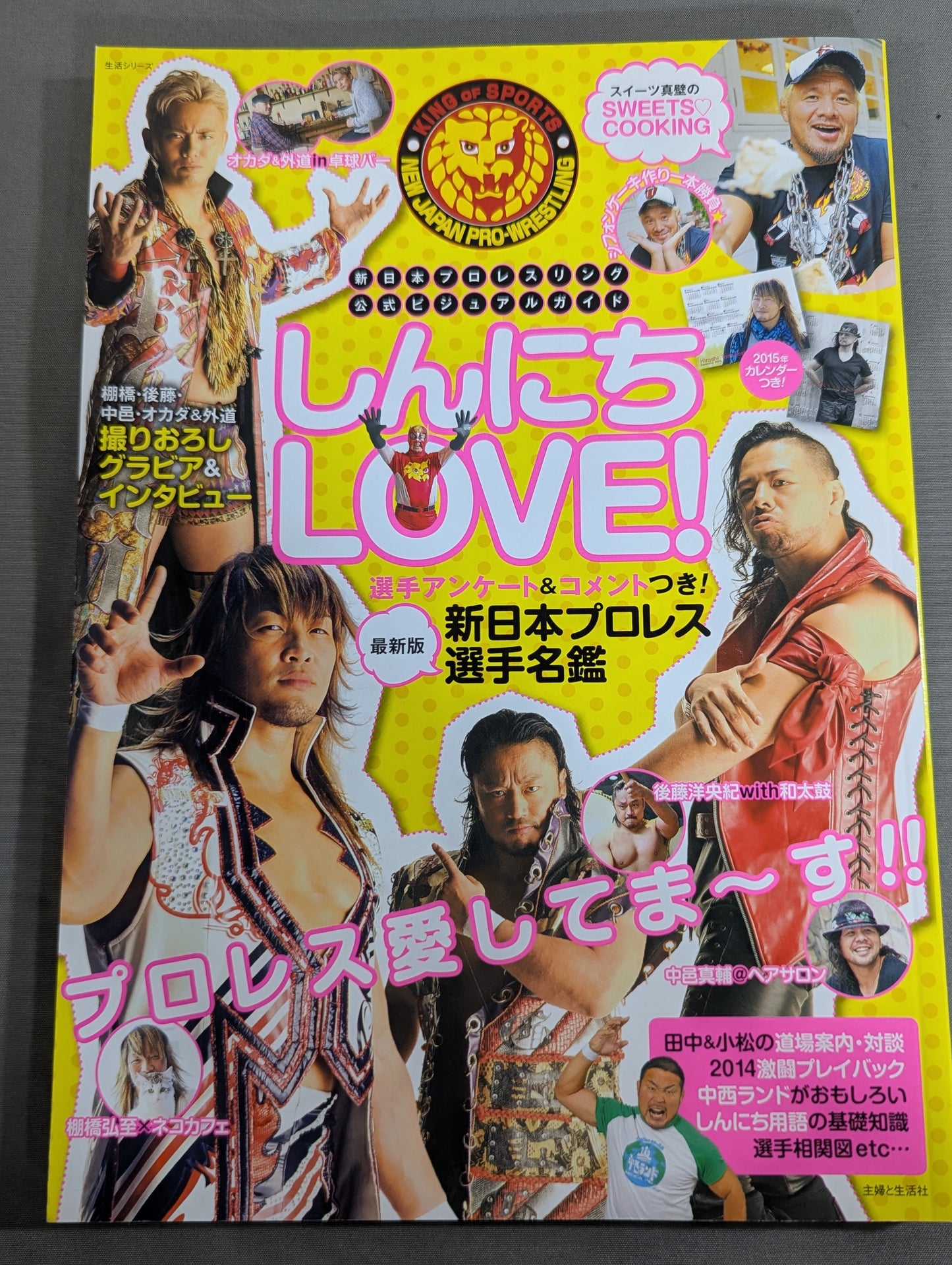 New Japan Pro Wrestling Pro-wrestling  Official Visual Guide Shinnichi LOVE!