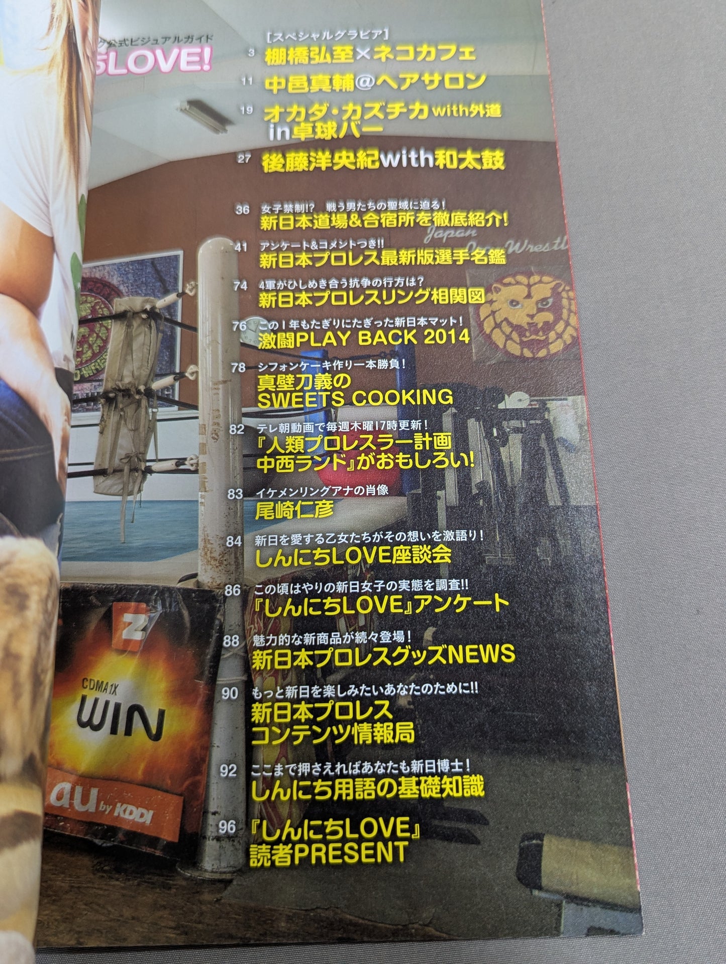 New Japan Pro Wrestling Pro-wrestling  Official Visual Guide Shinnichi LOVE!